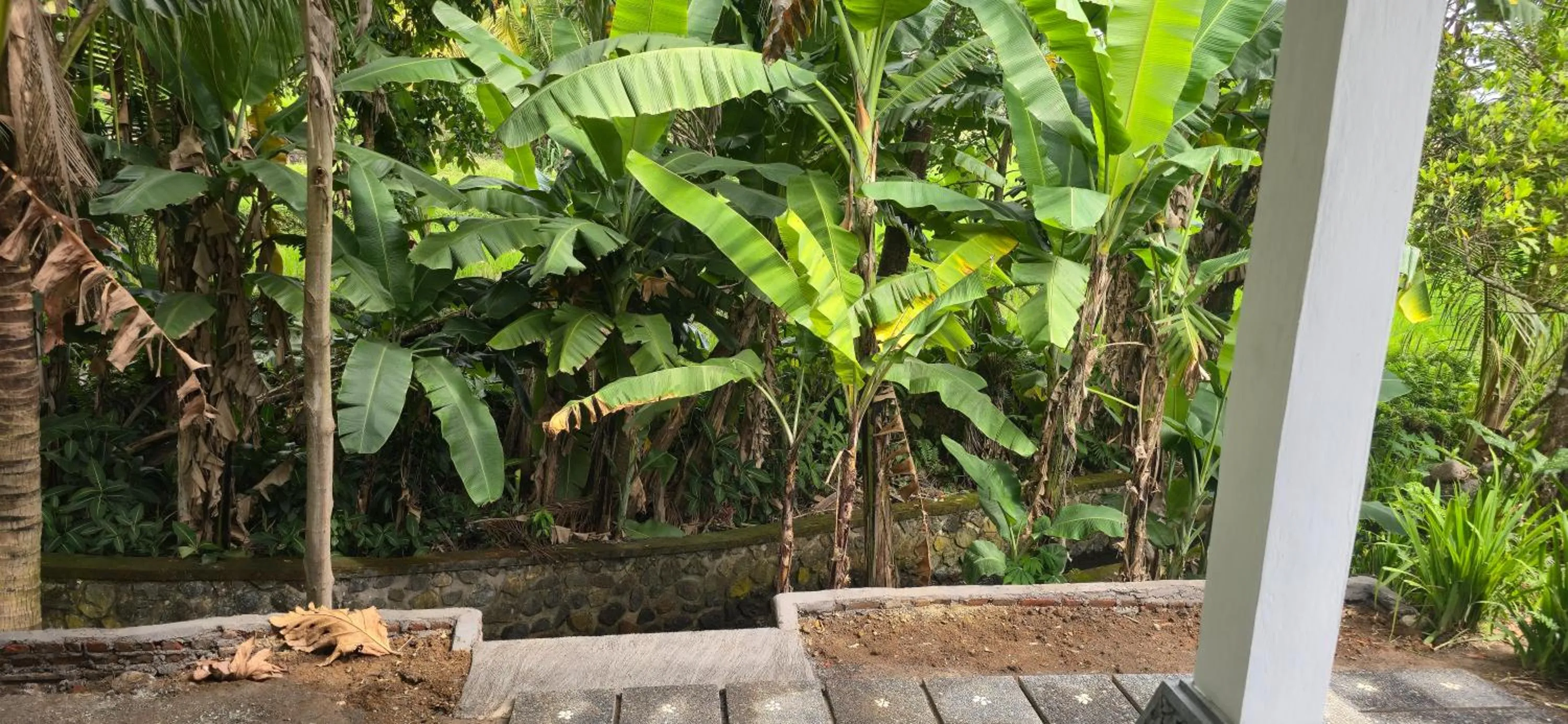 View (from property/room) in Uma Nirmala Aling-Aling