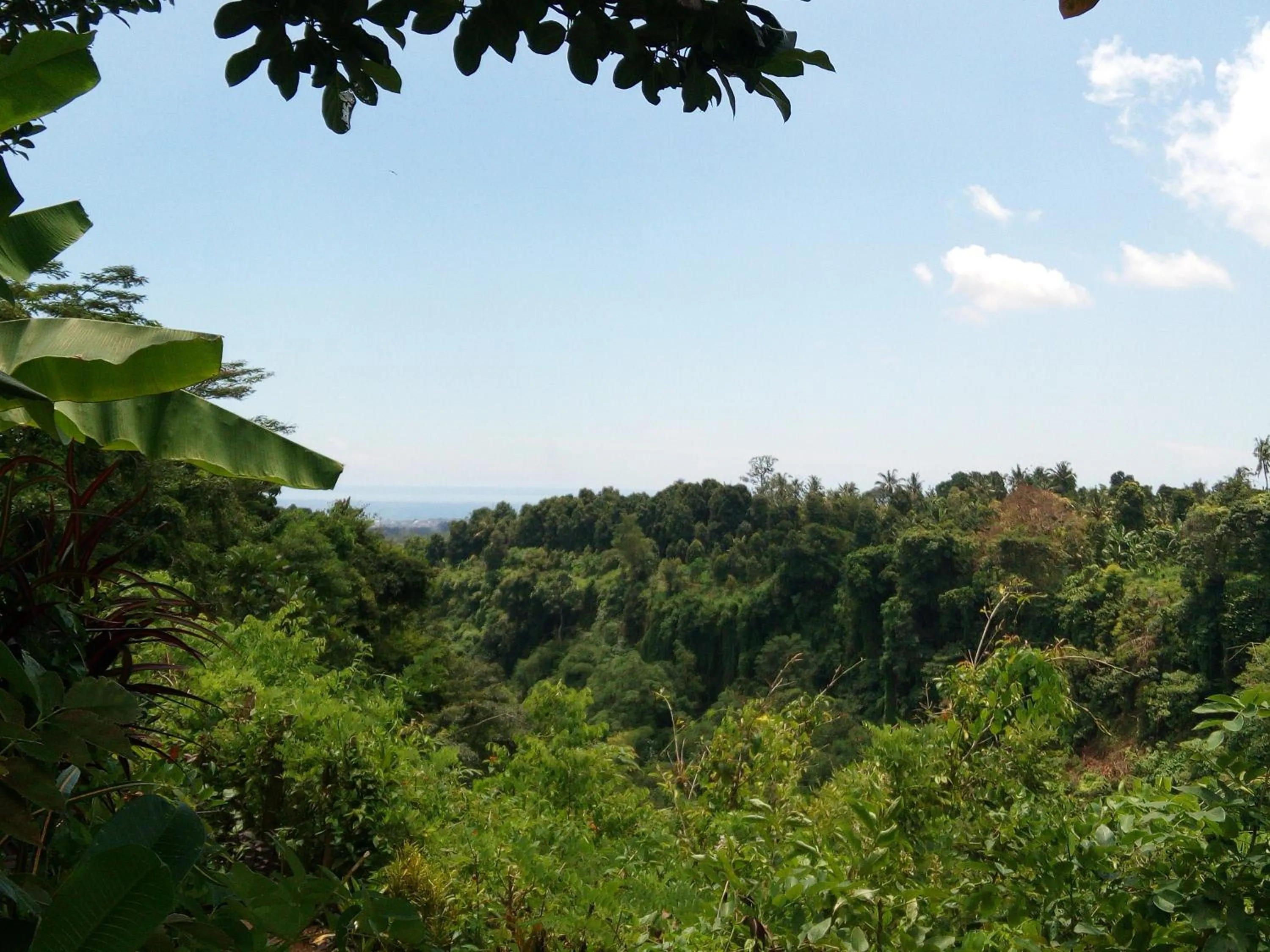 Mountain view in Uma Nirmala Aling-Aling
