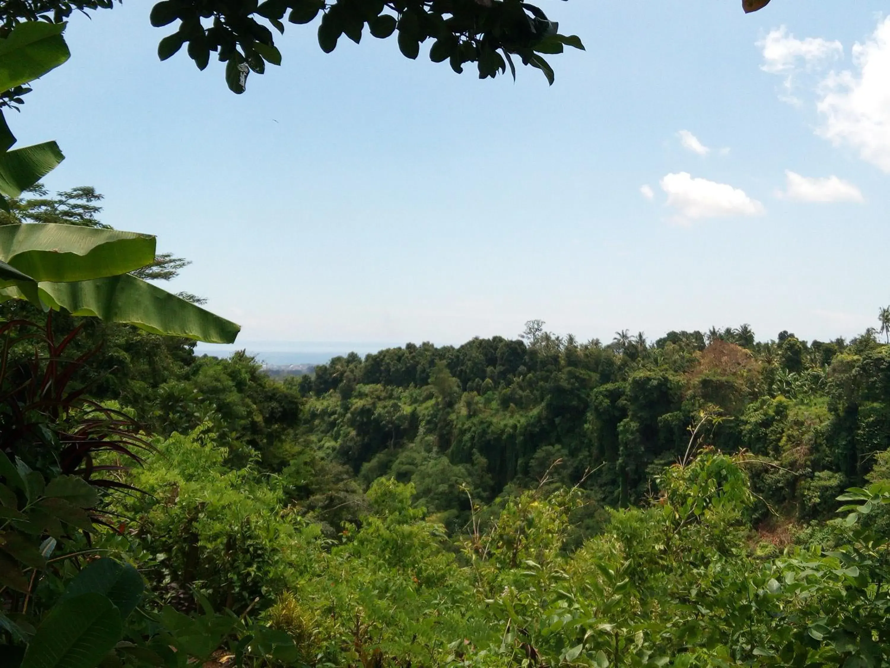 Double Room in Uma Nirmala Aling-Aling Double Room in Uma Nirmala Aling-Aling