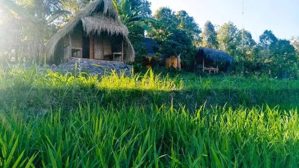 Twin Room with Shared Toilet in Uma Nirmala Aling-Aling Twin Room with Shared Toilet in Uma Nirmala Aling-Aling
