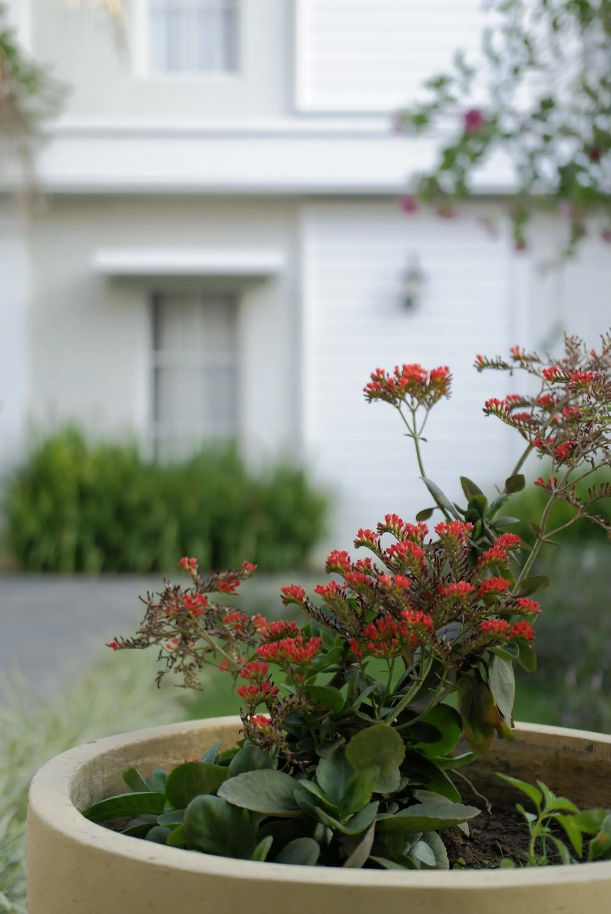 Sevilla Resort Magelang