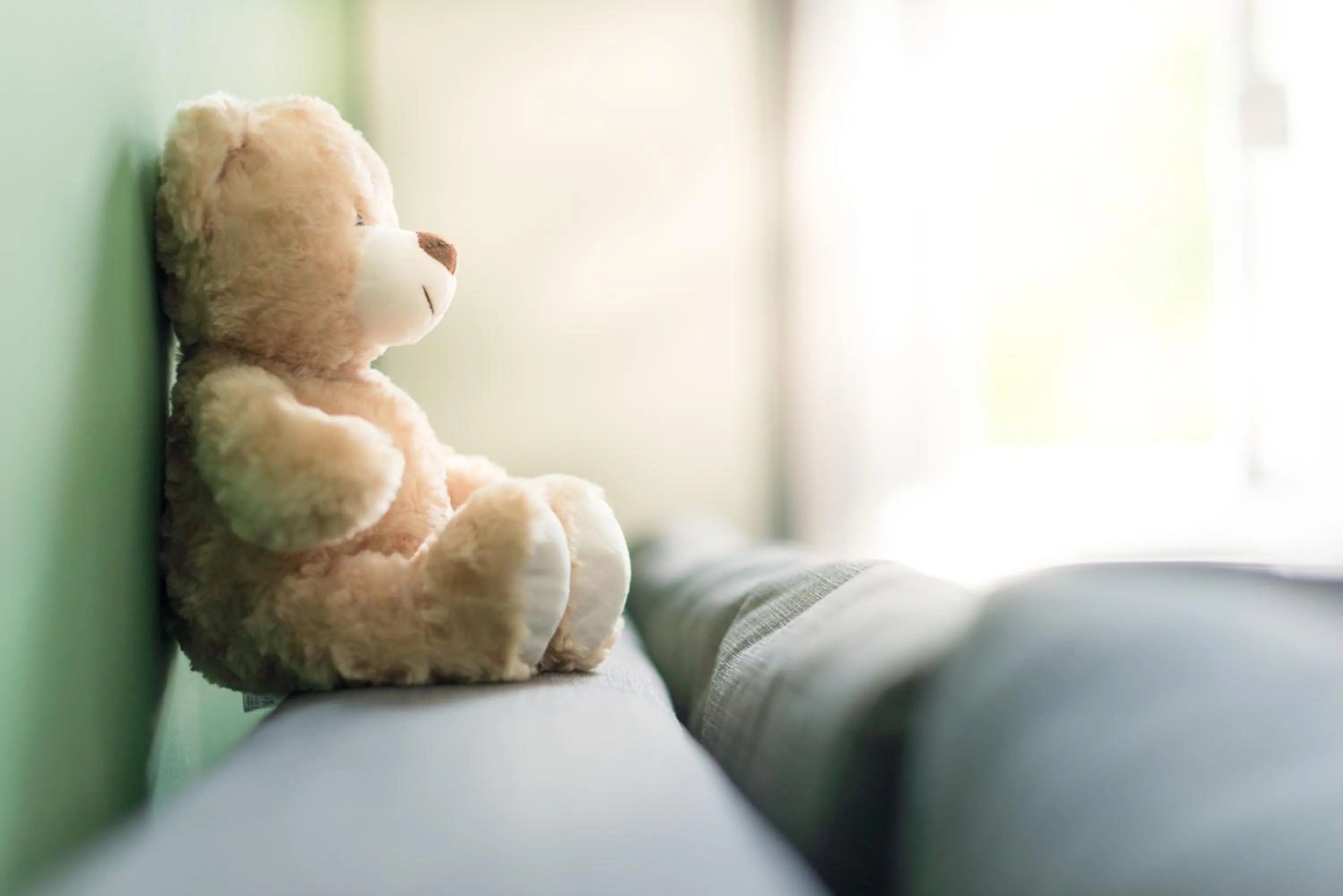 Living room in happy home FOX