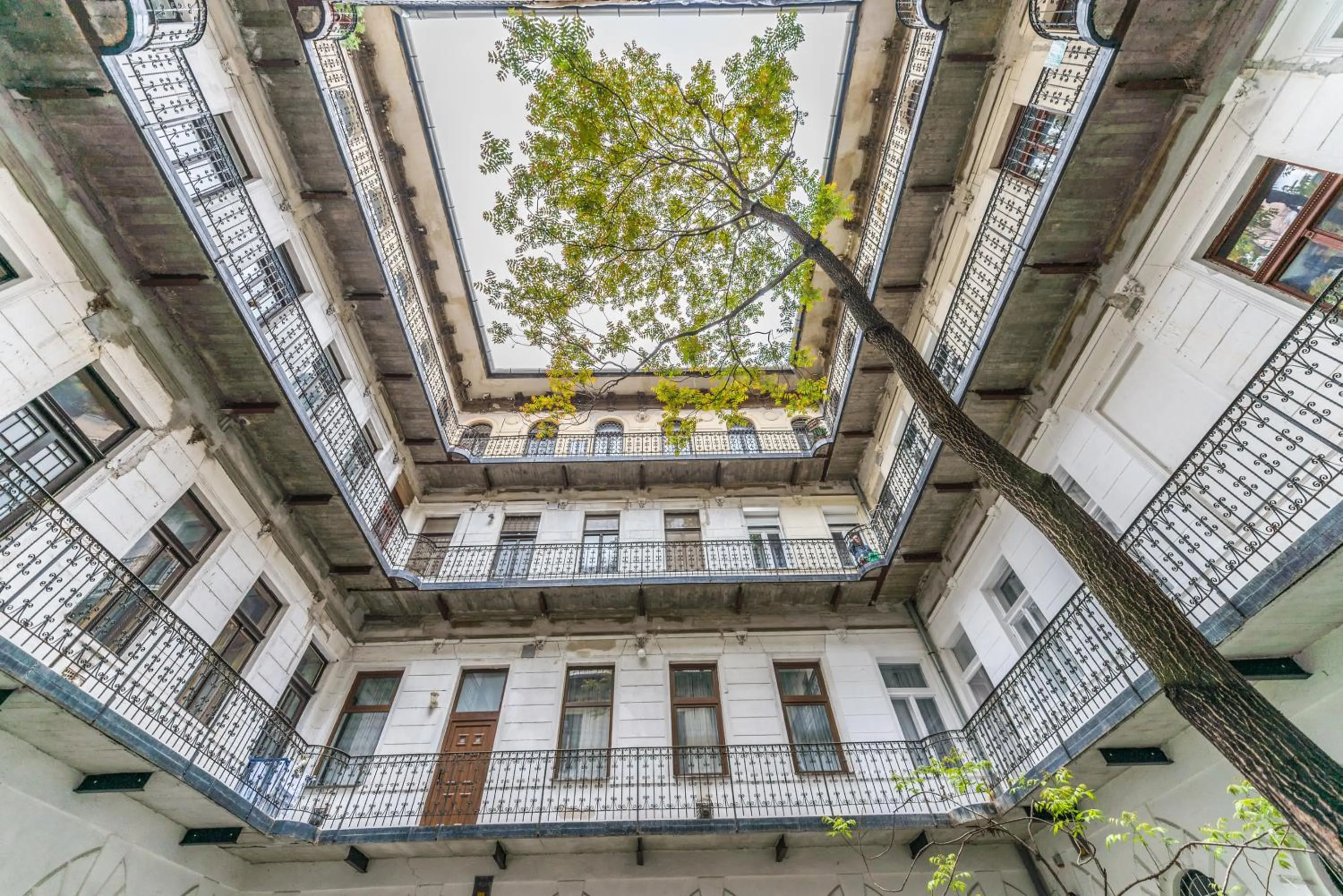 Property building in happy home FOX