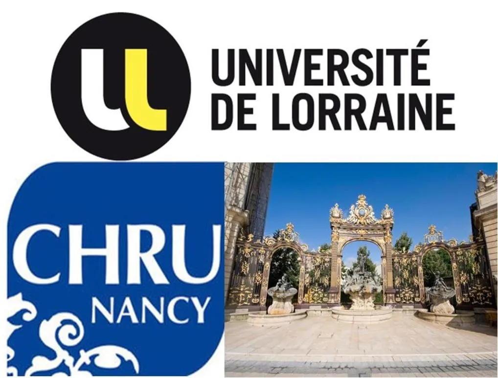 Text overlay in NancyRoom