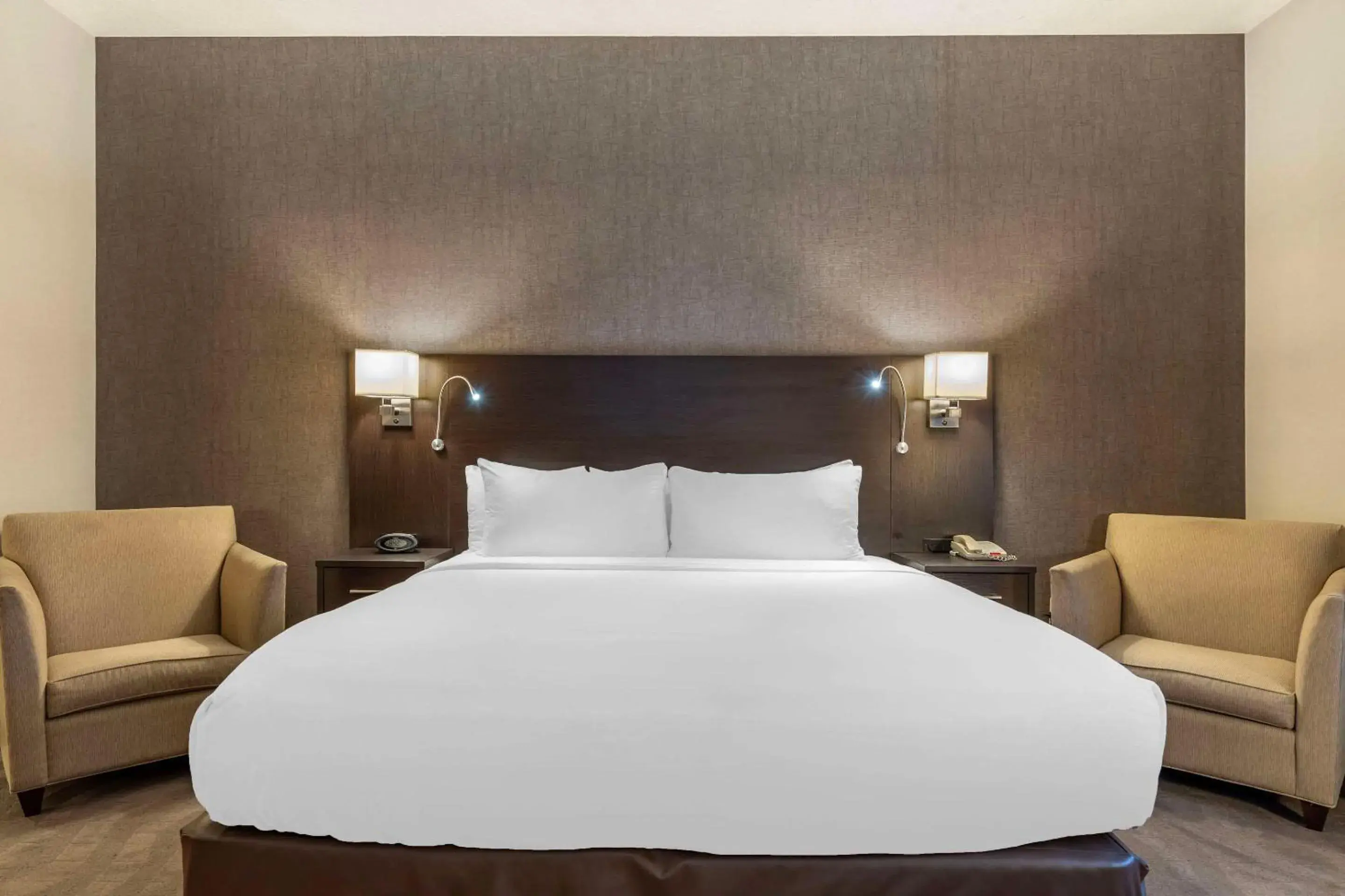 Bedroom, Bed in Comfort Suites Bedroom, Bed in Comfort Suites