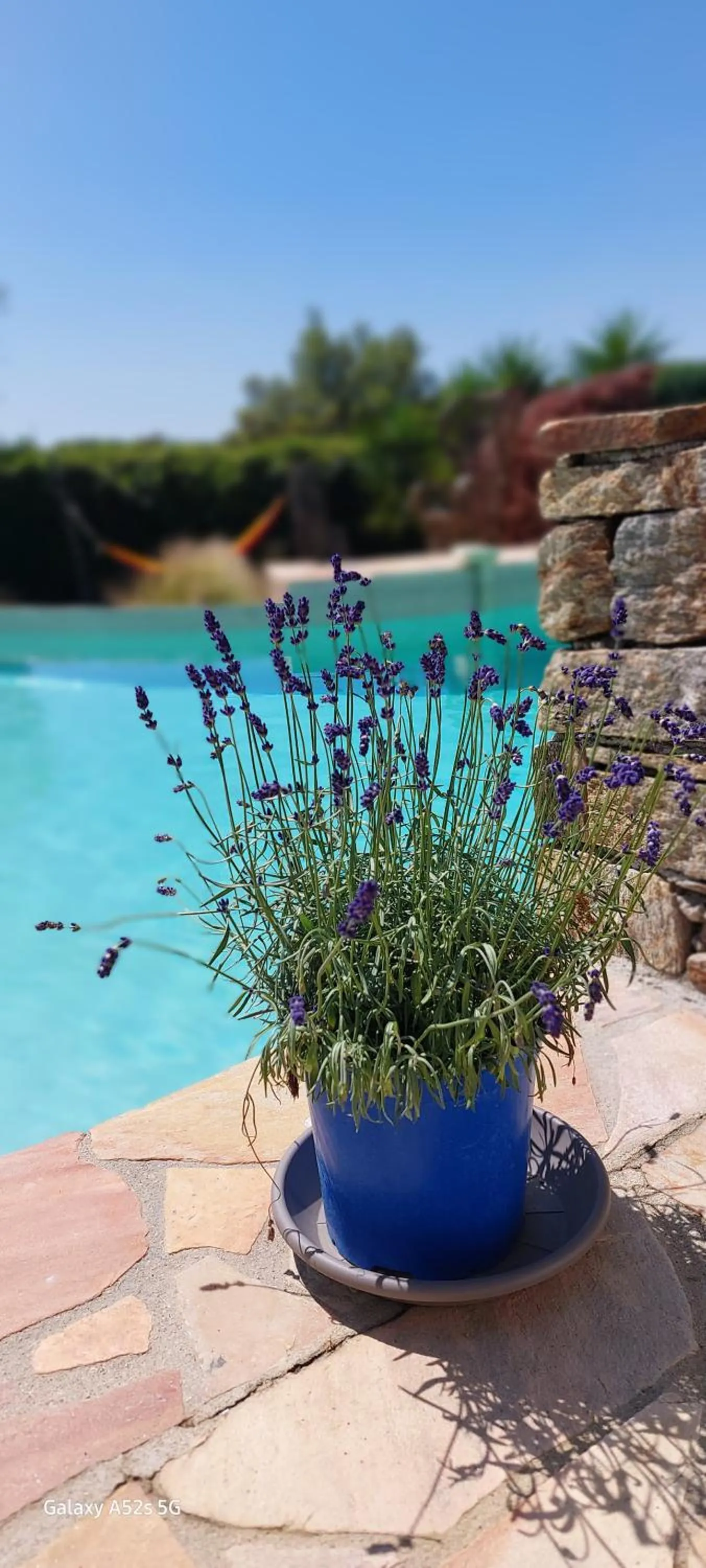 Natural landscape in Villa des Delices