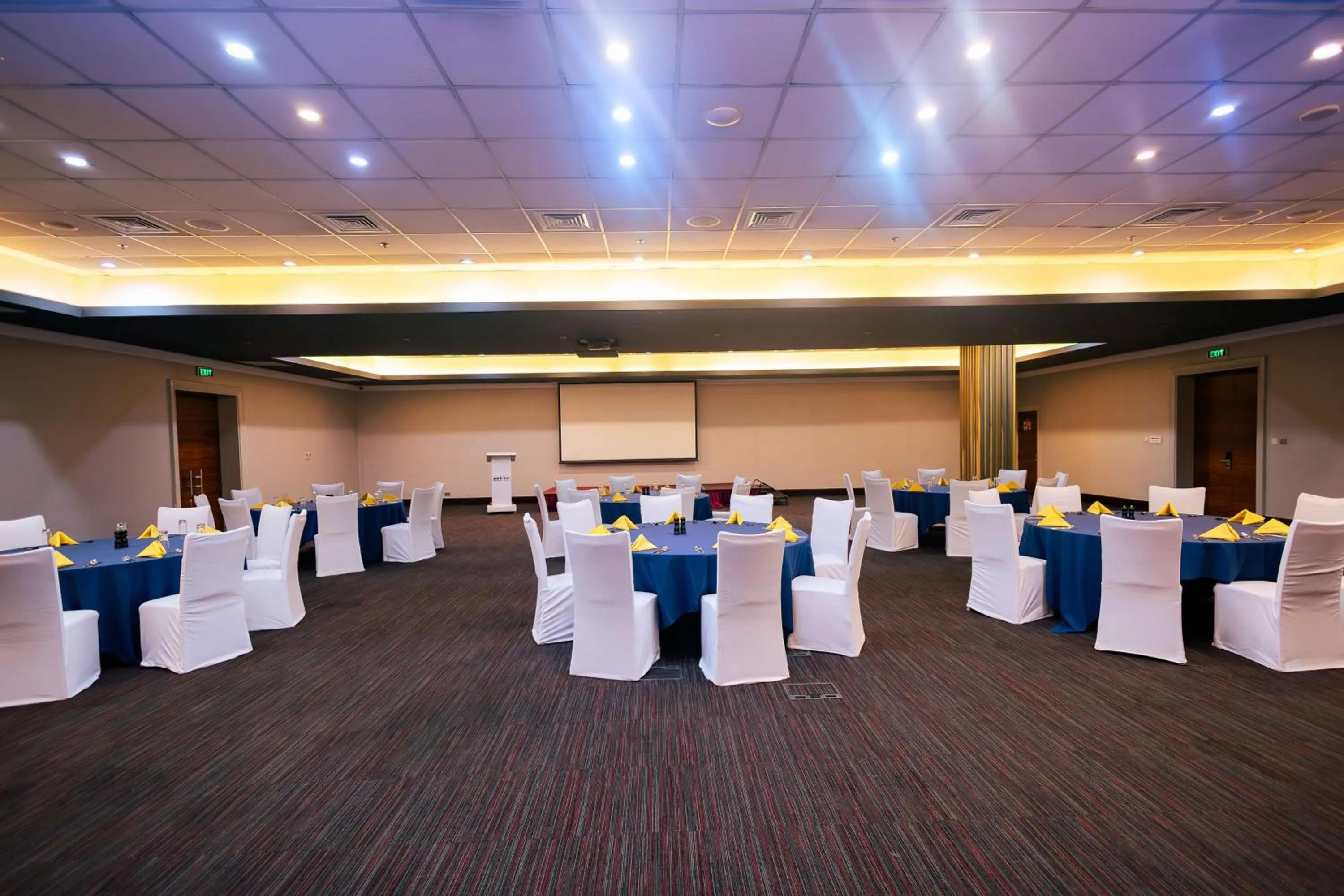 Banquet/Function facilities in Park Inn by Radisson, Kigali