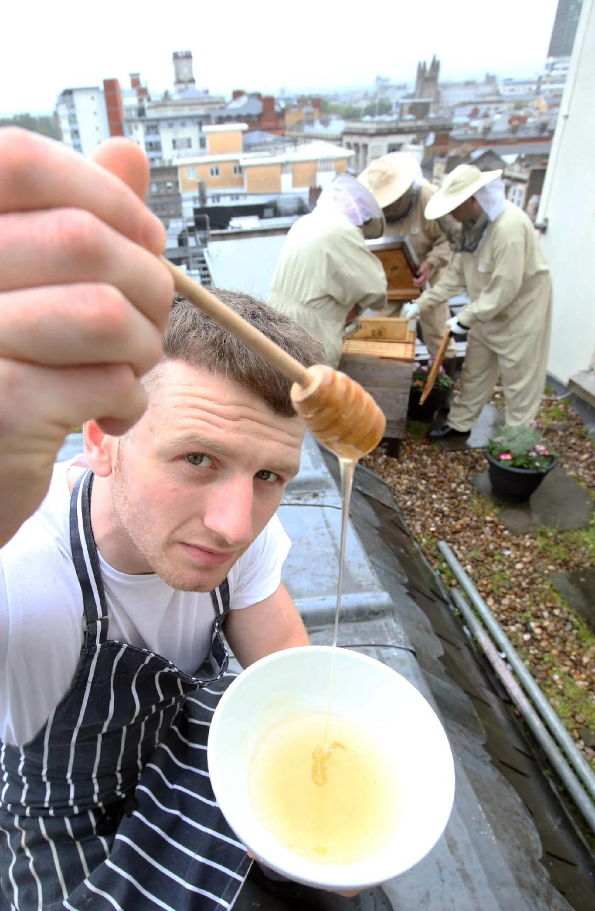 Animals in The Royal Hotel Cardiff