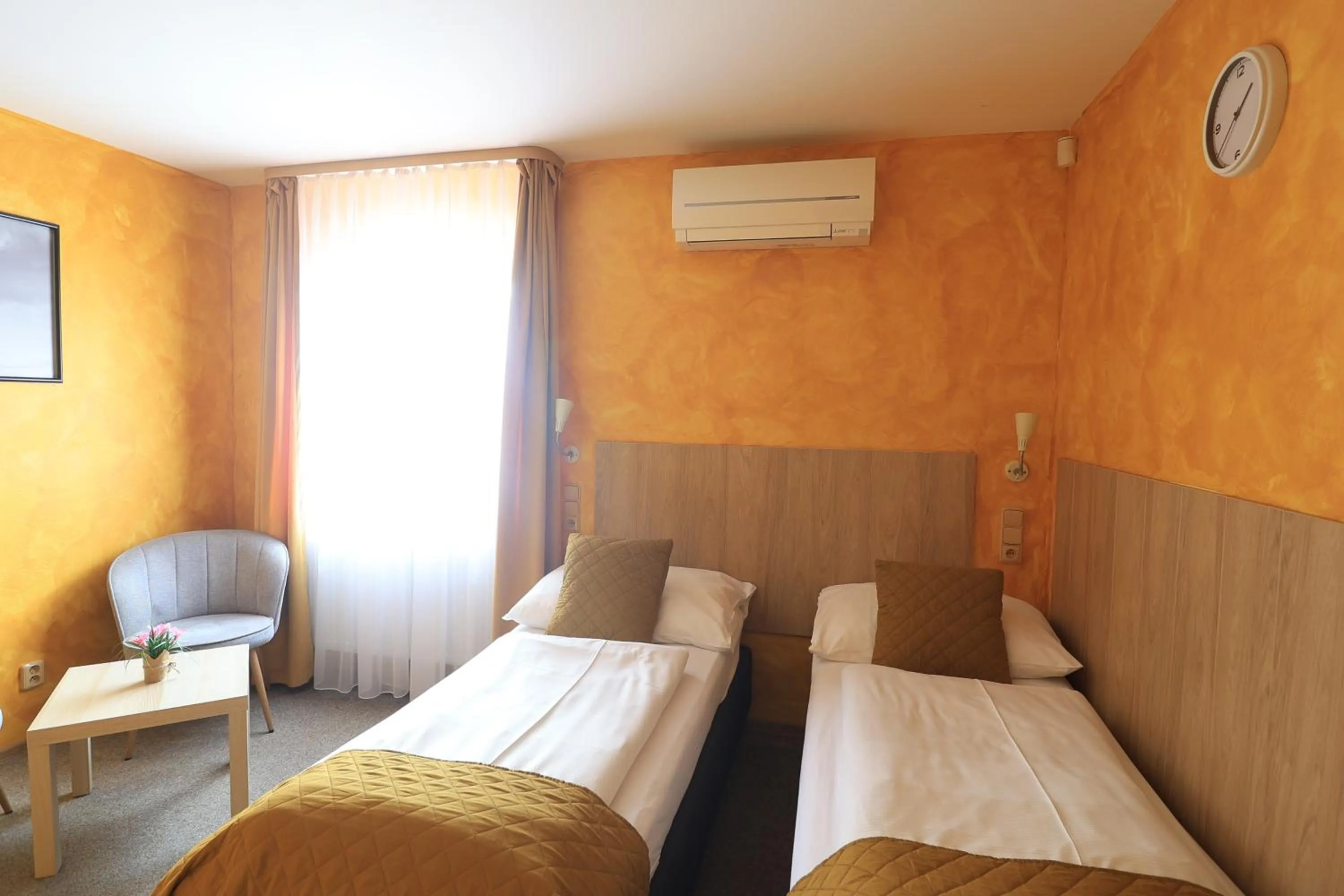 Deluxe Double Room - single occupancy in U Admirala
