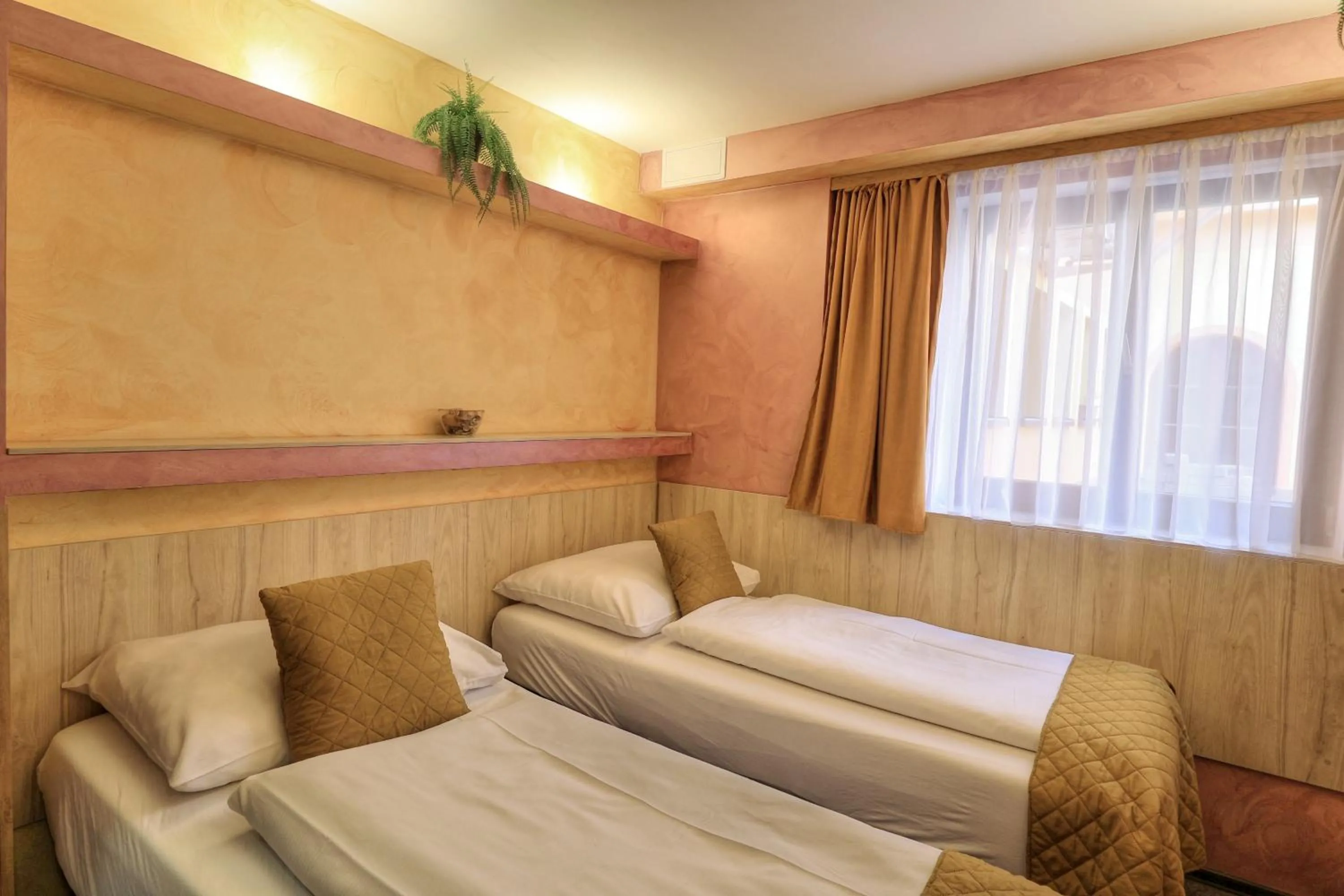 Deluxe Double or Twin Room - single occupancy in U Admirala