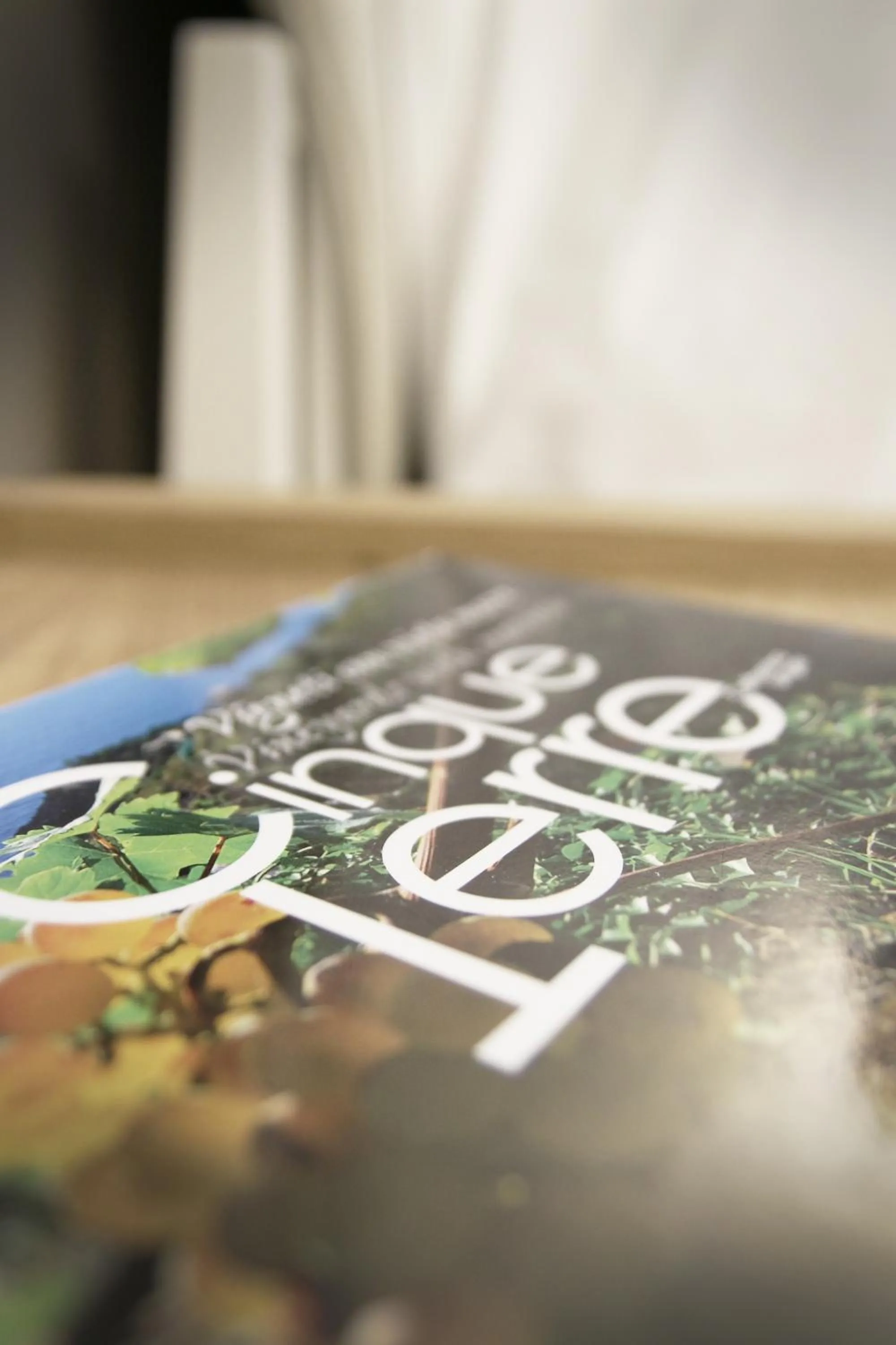 Decorative detail in La Vista di Marina by The First