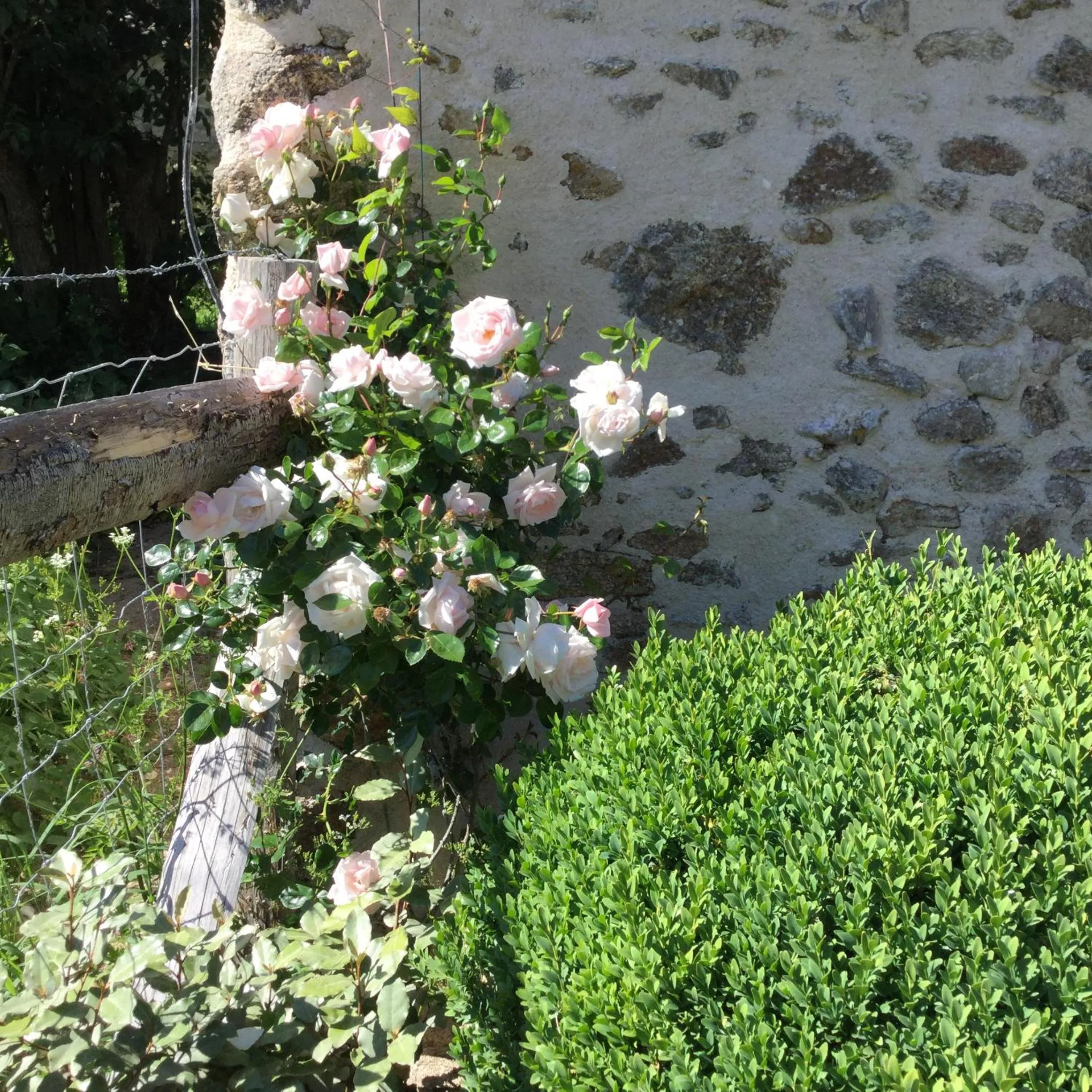 Garden in les epis du vent