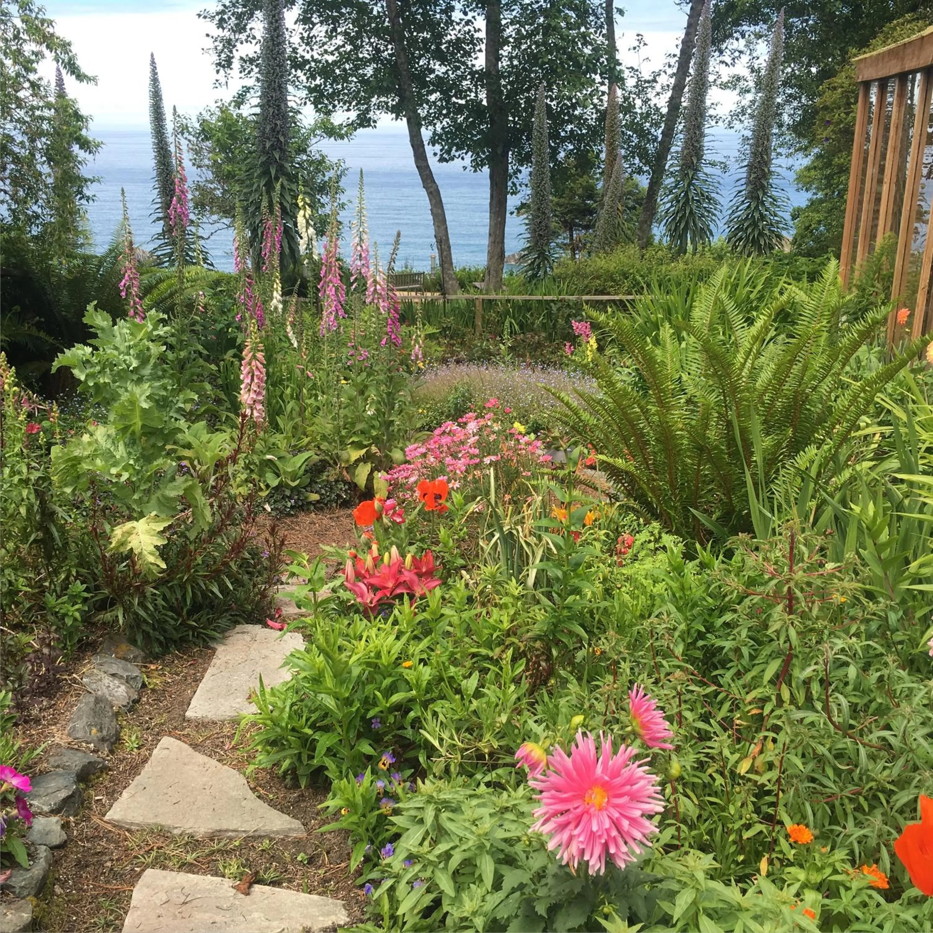 Garden in Lost Whale Inn