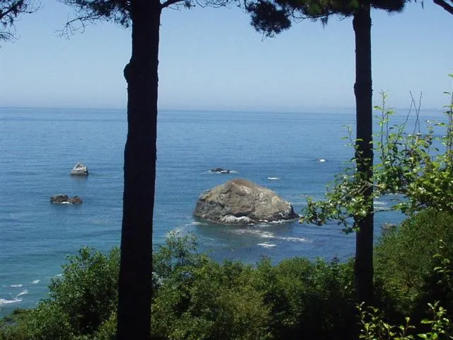 Sea view in Lost Whale Inn