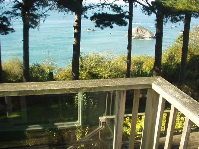 Lost Whale Inn