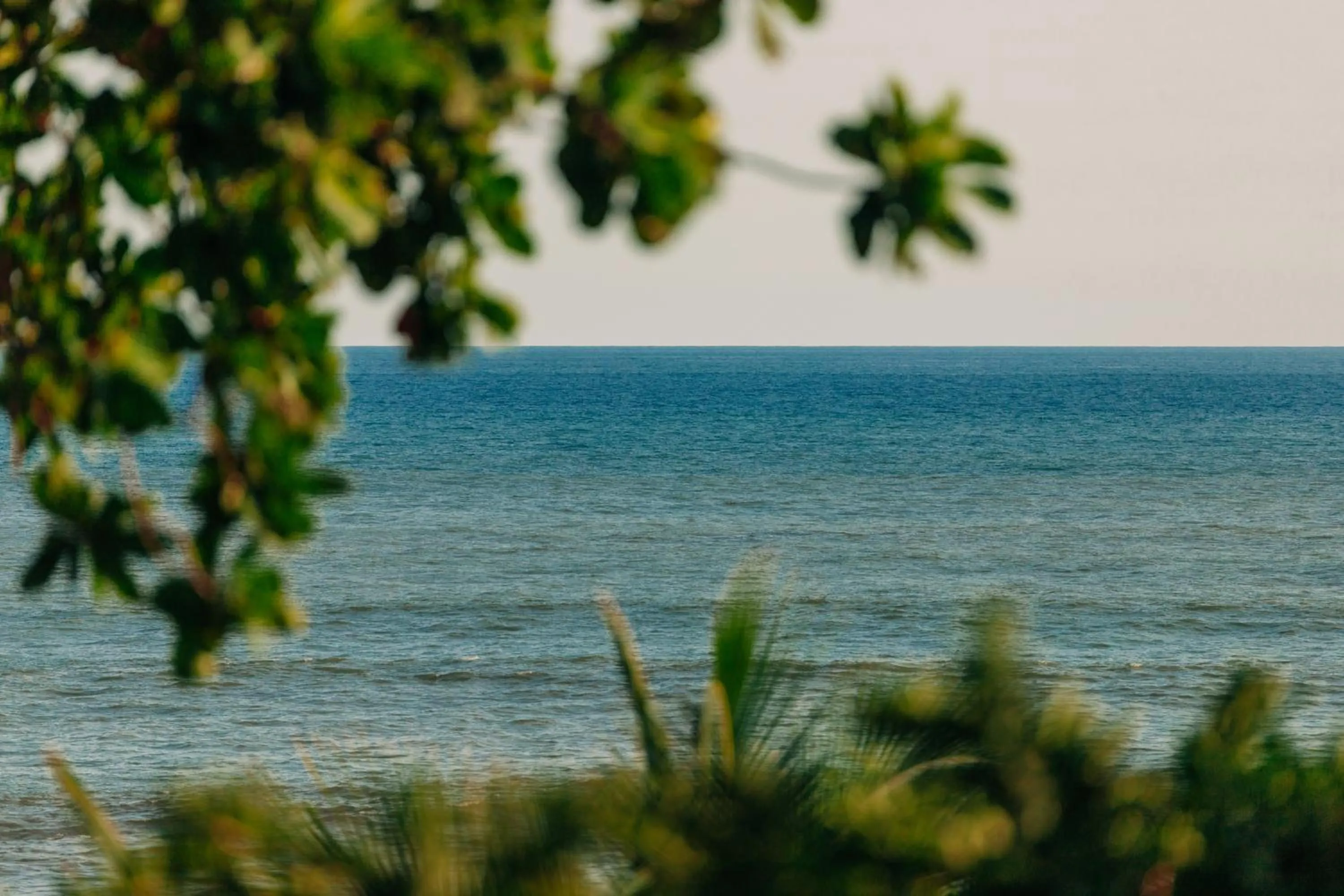 Puro Surf Hotel & Performance Academy