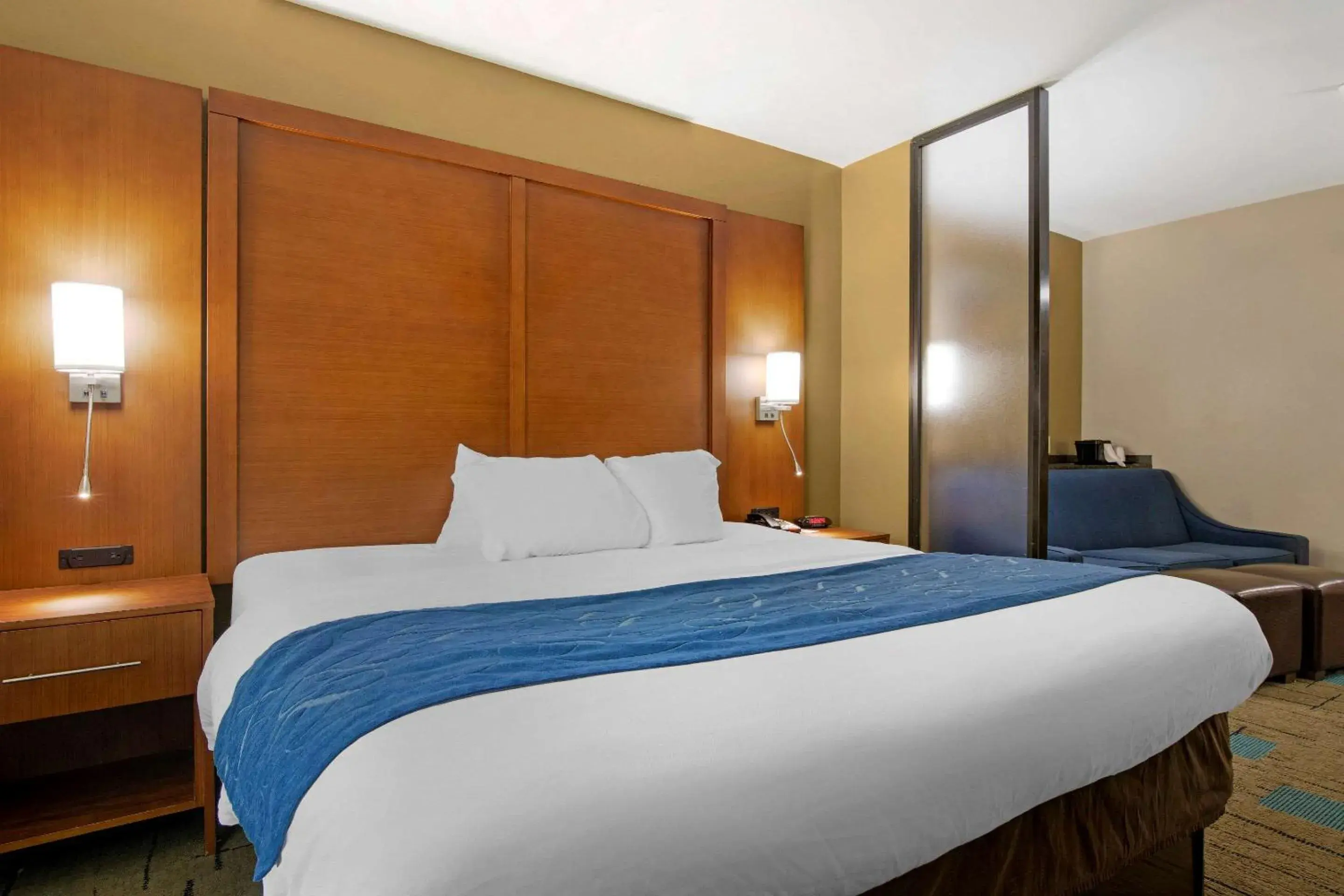 Photo of the whole room, Bed in Comfort Suites near MCAS Beaufort Photo of the whole room, Bed in Comfort Suites near MCAS Beaufort