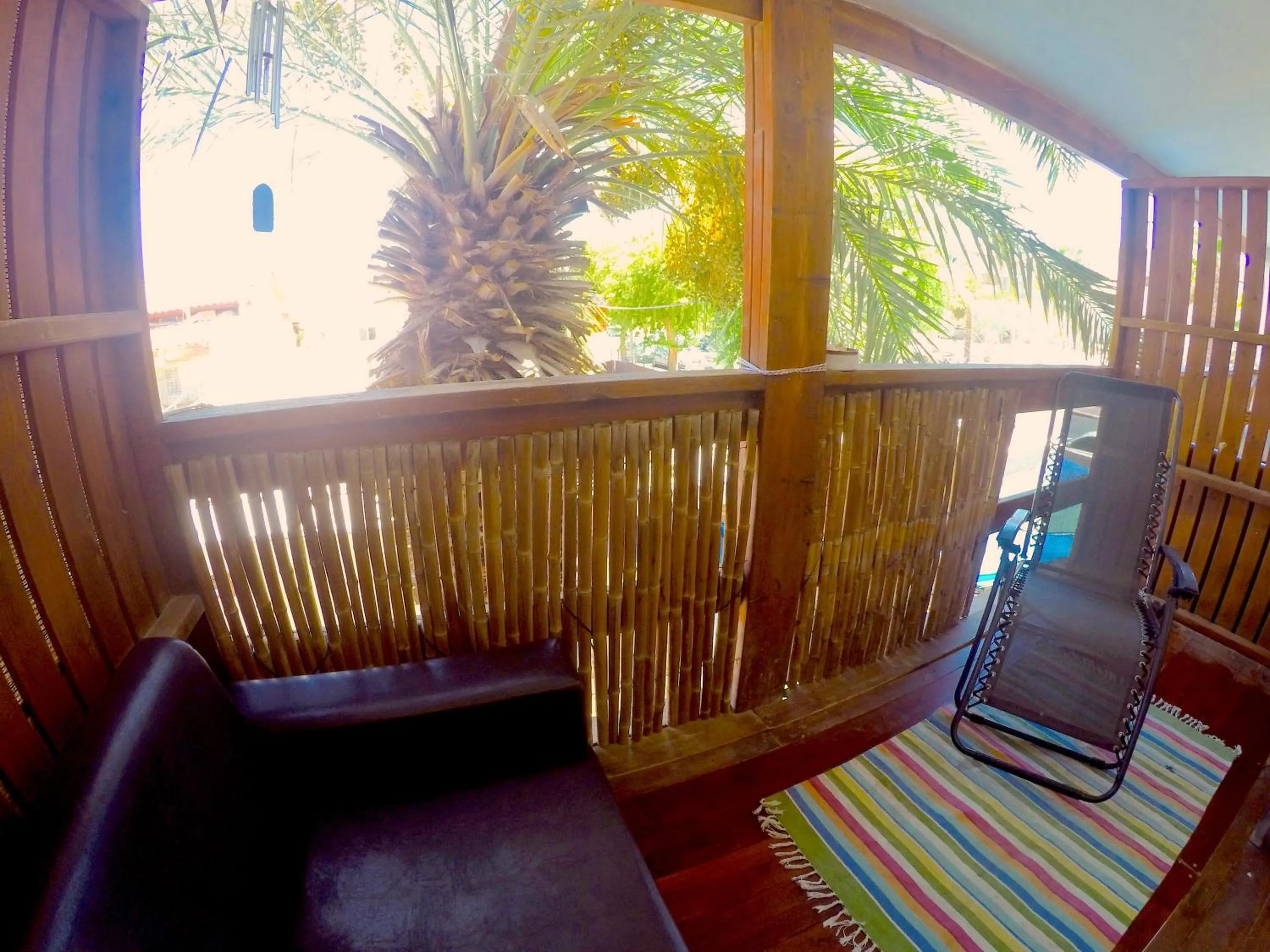Pura Vida Eilat