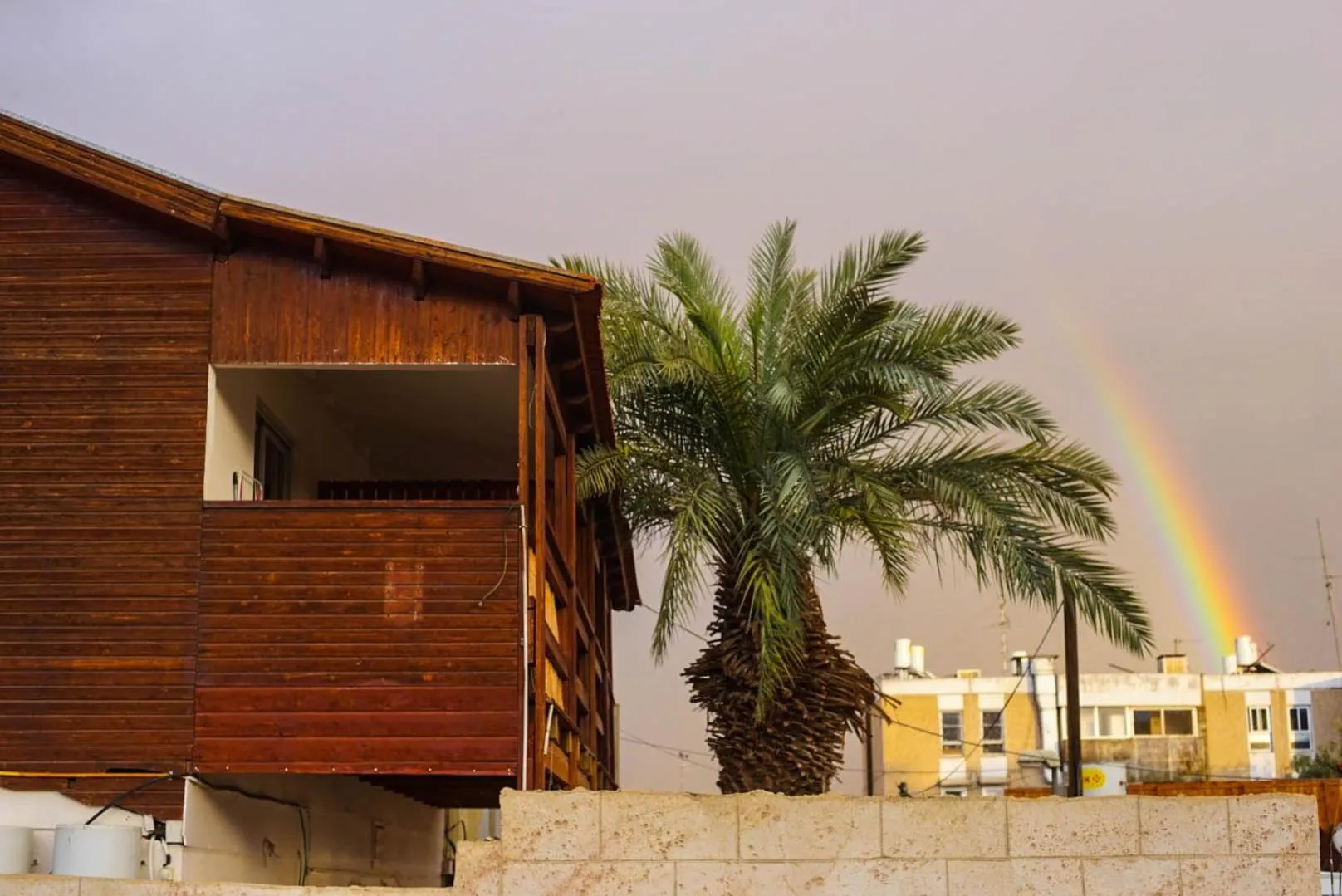 Pura Vida Eilat