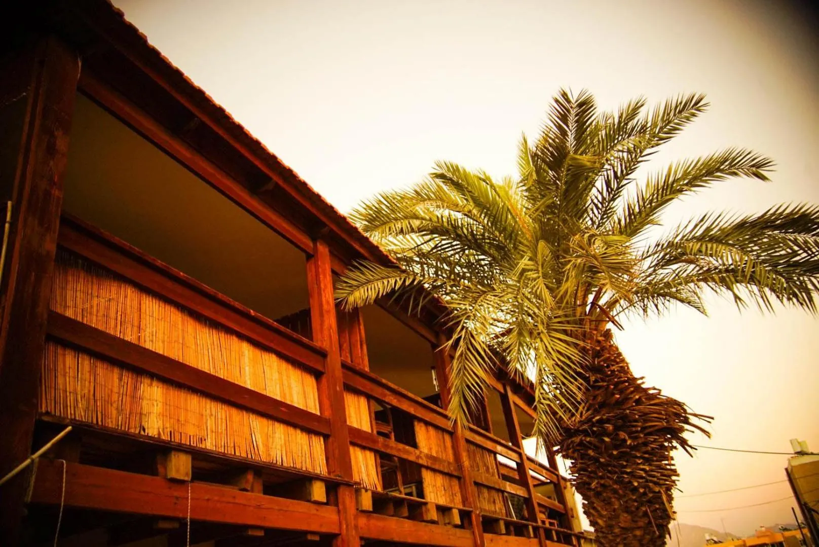 Pura Vida Eilat
