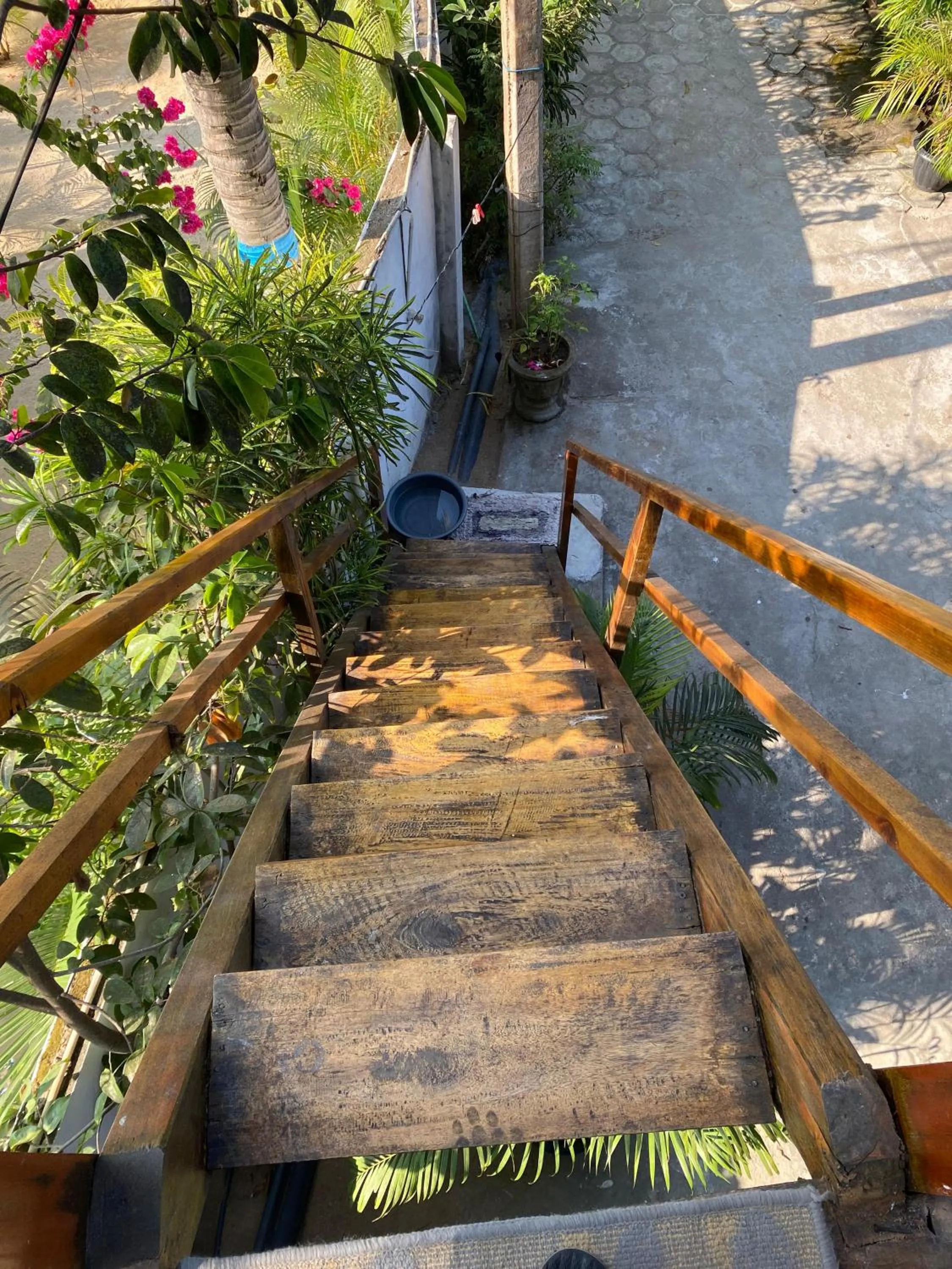 Garden view in Surf Beach Hotel