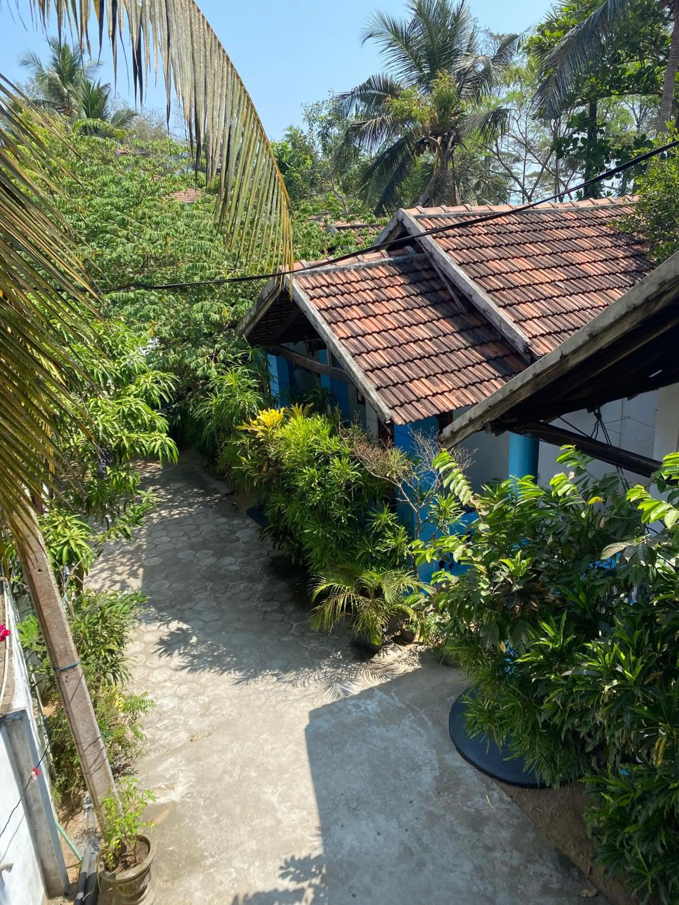 Property building in Surf Beach Hotel