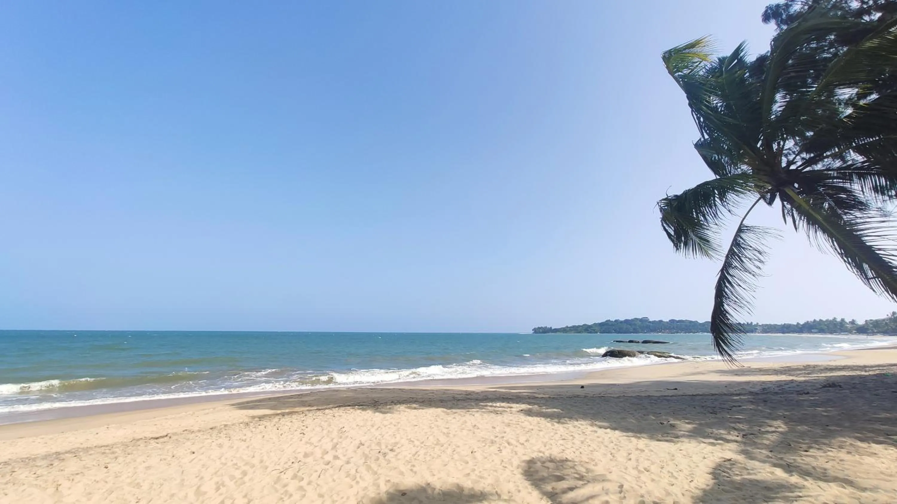Natural landscape in Surf Beach Hotel