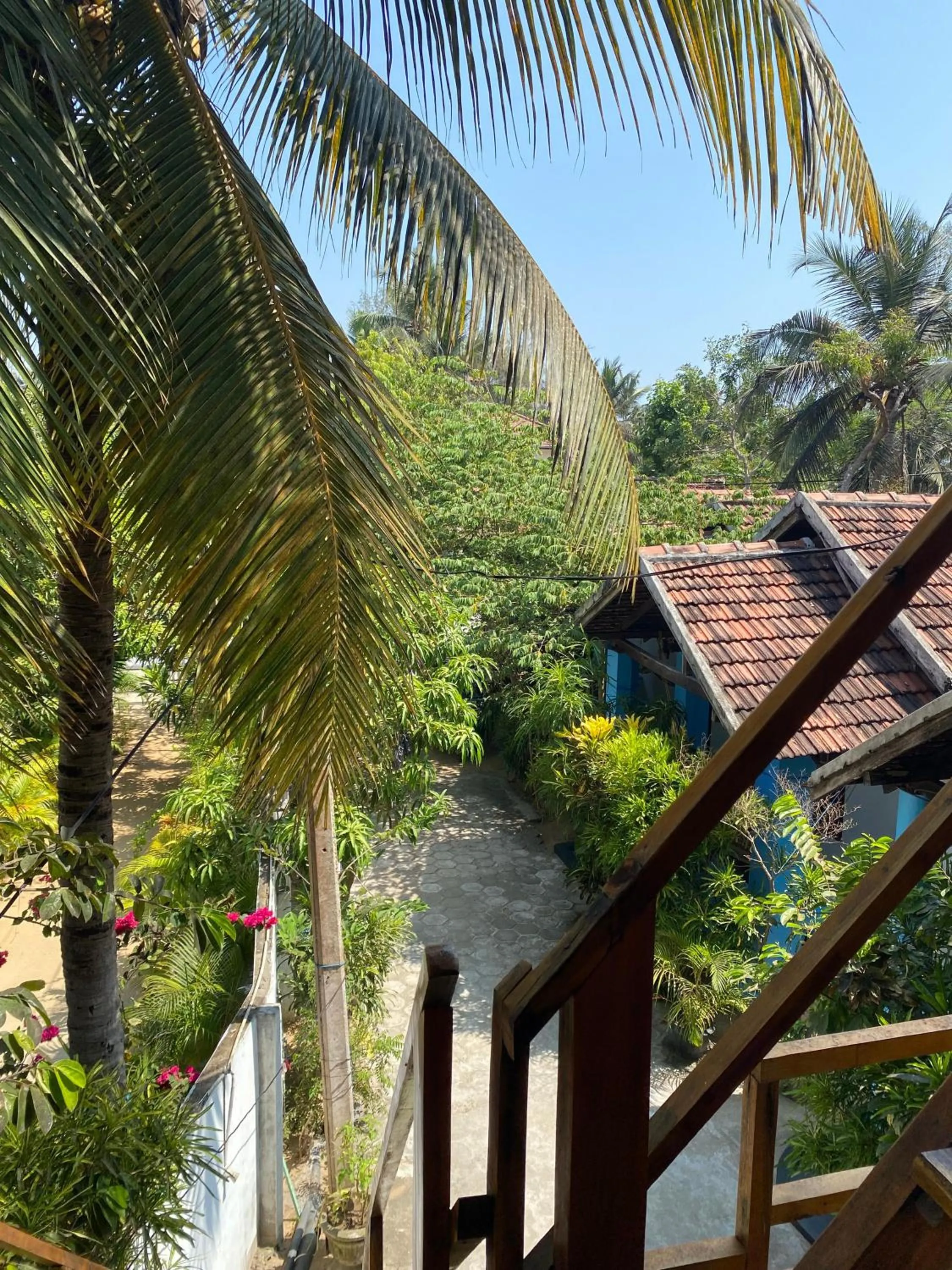 Spring in Surf Beach Hotel