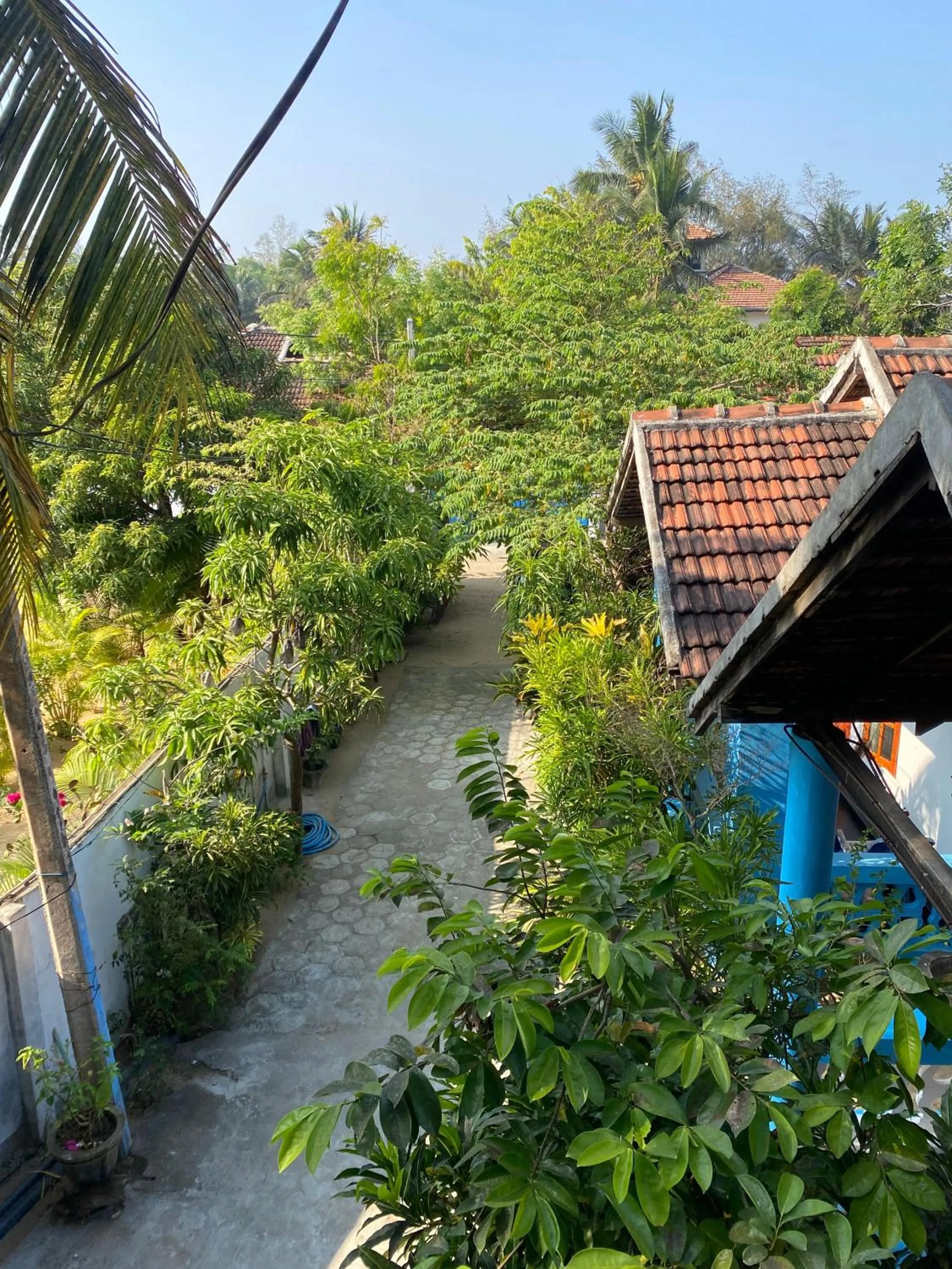 Garden in Surf Beach Hotel