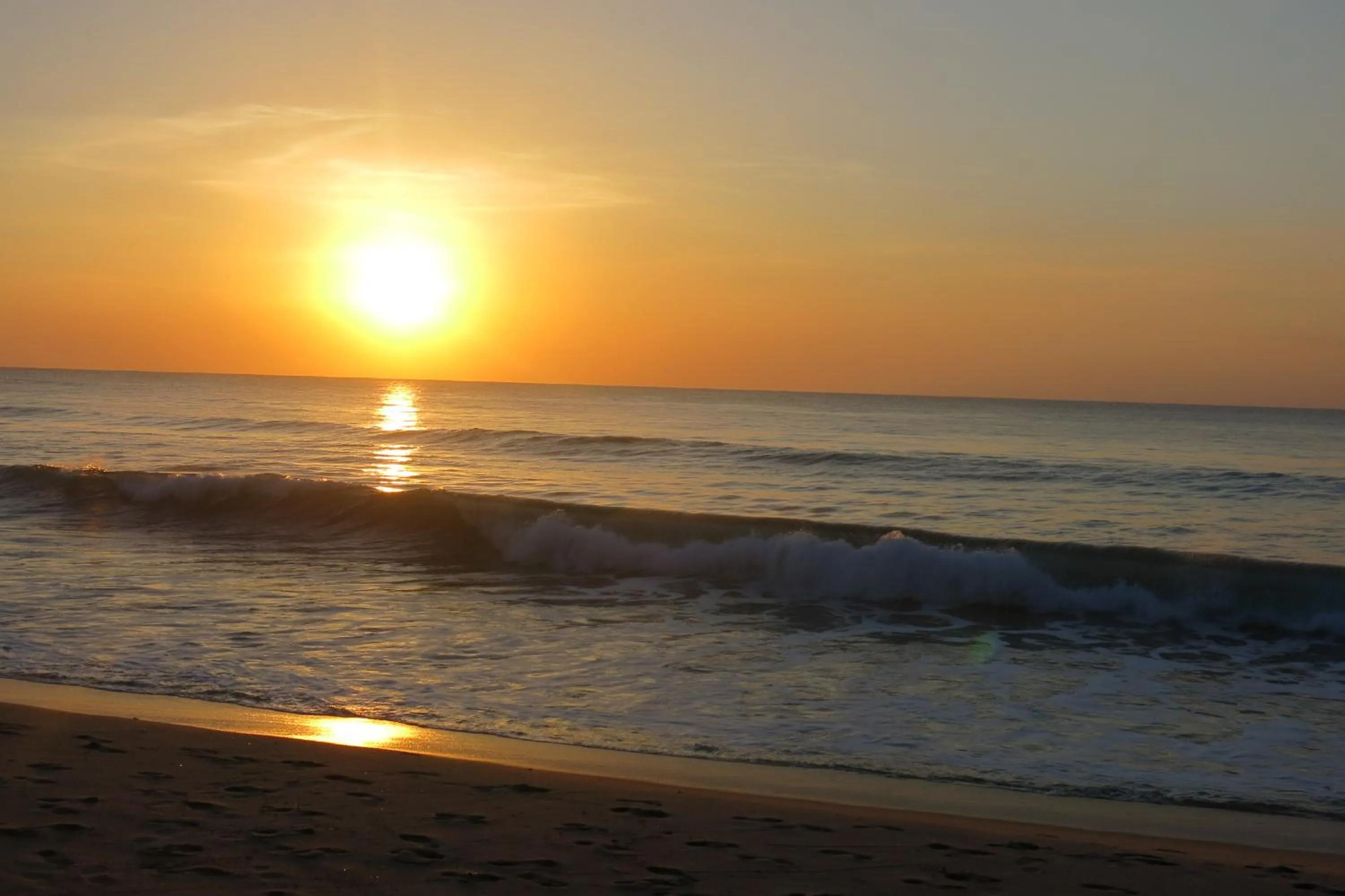 Natural landscape in Surf Beach Hotel