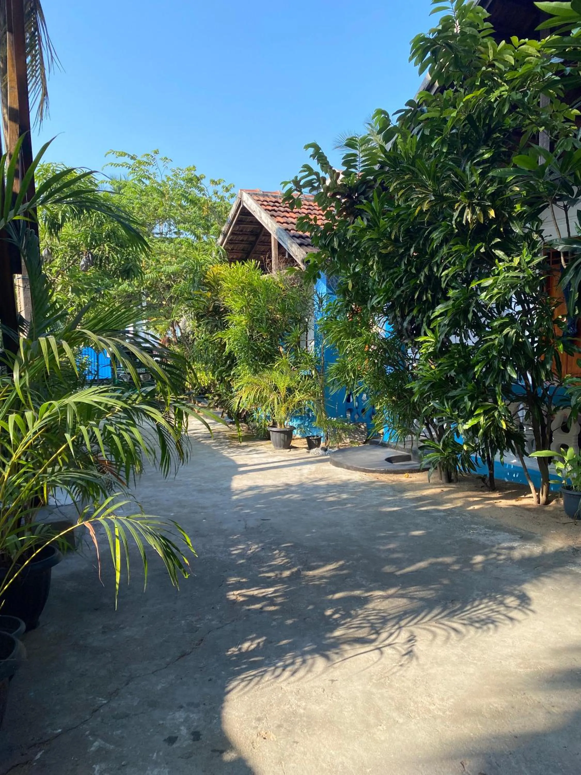 Garden in Surf Beach Hotel