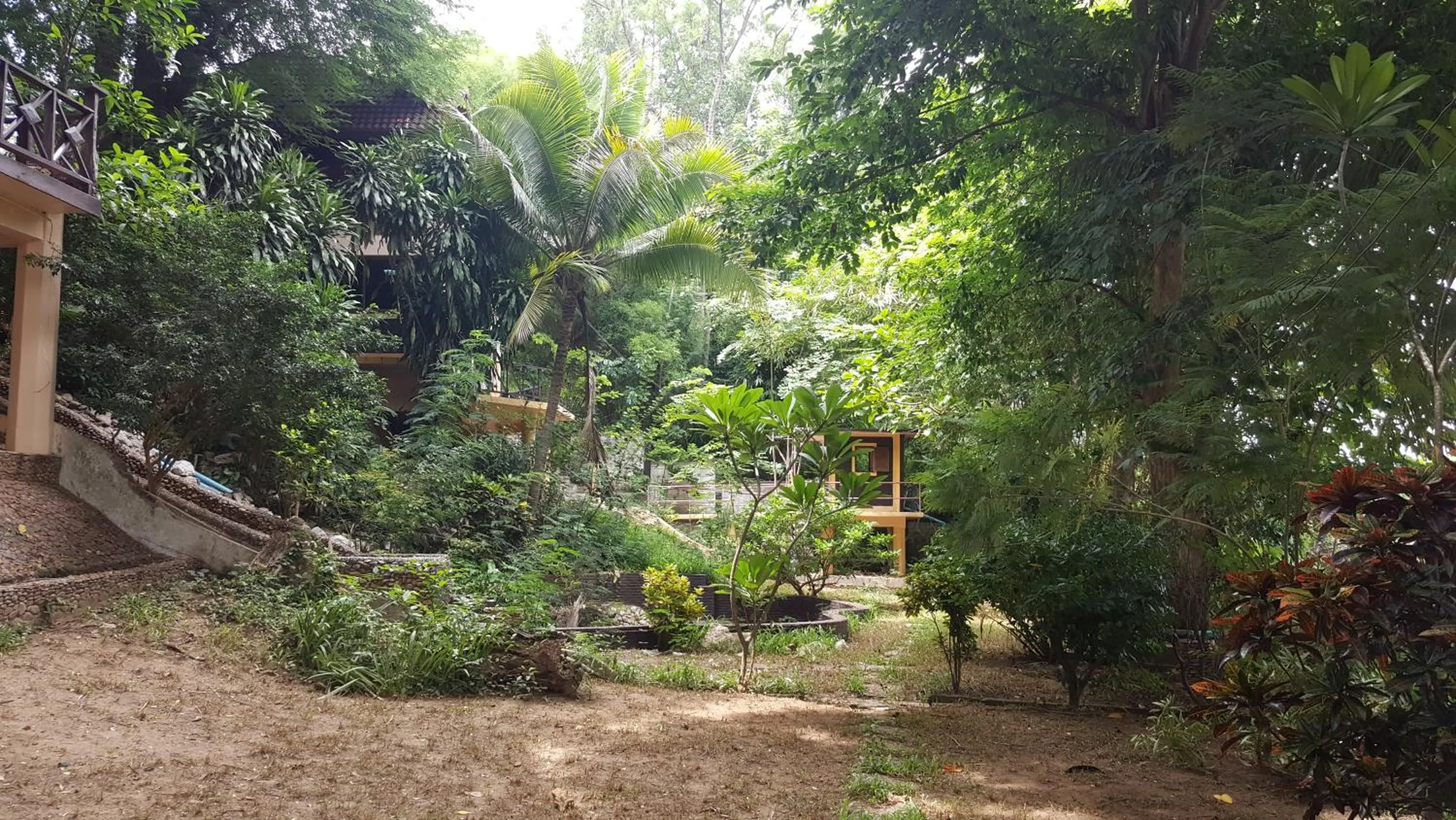 Natural landscape in Ratmanee House