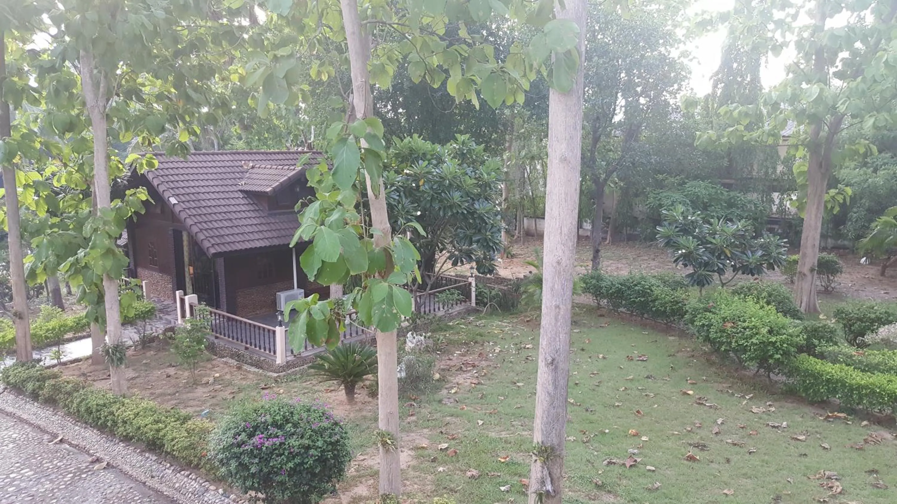 Garden in Ratmanee House