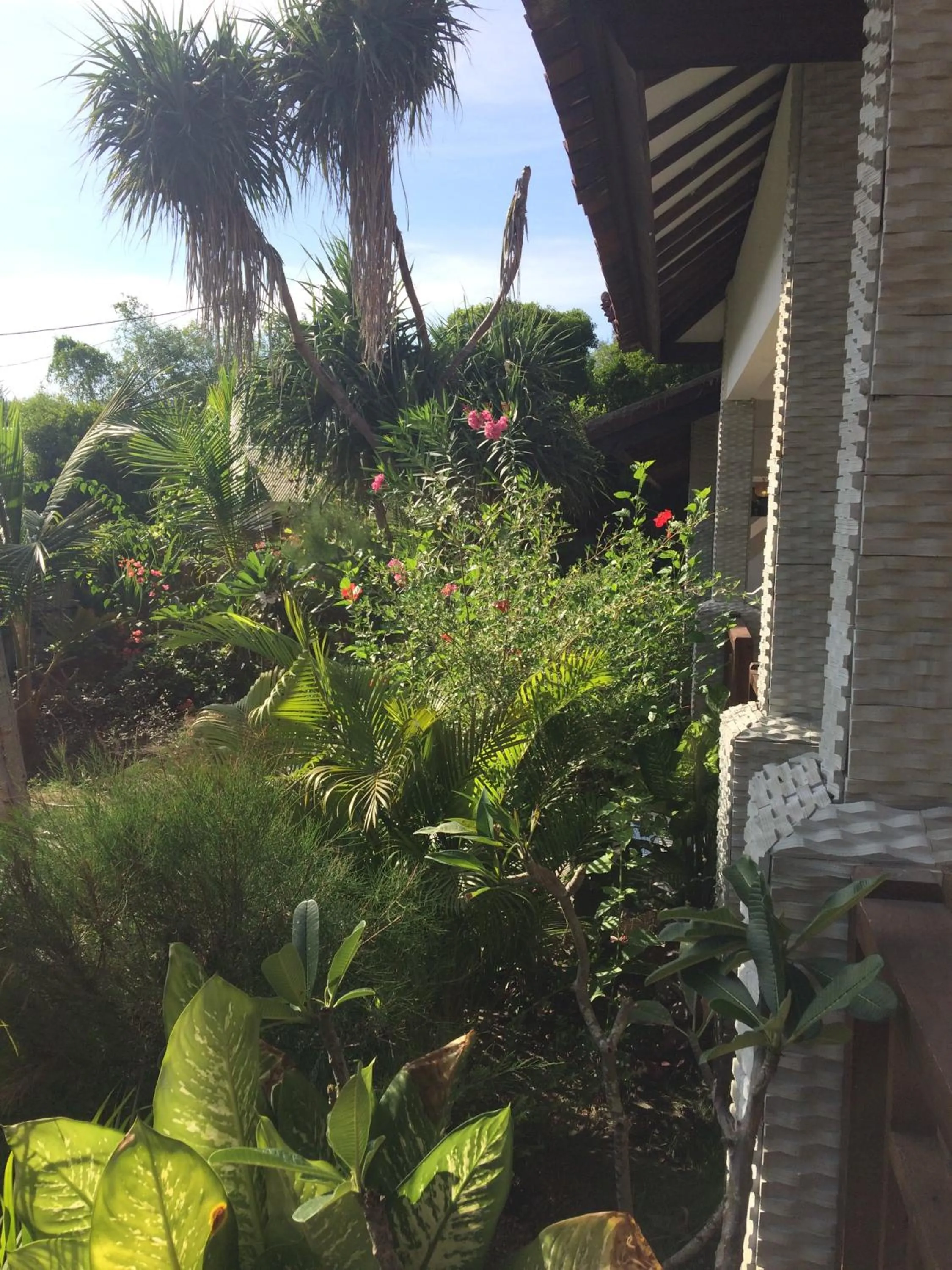 Garden view in Gili Beach
