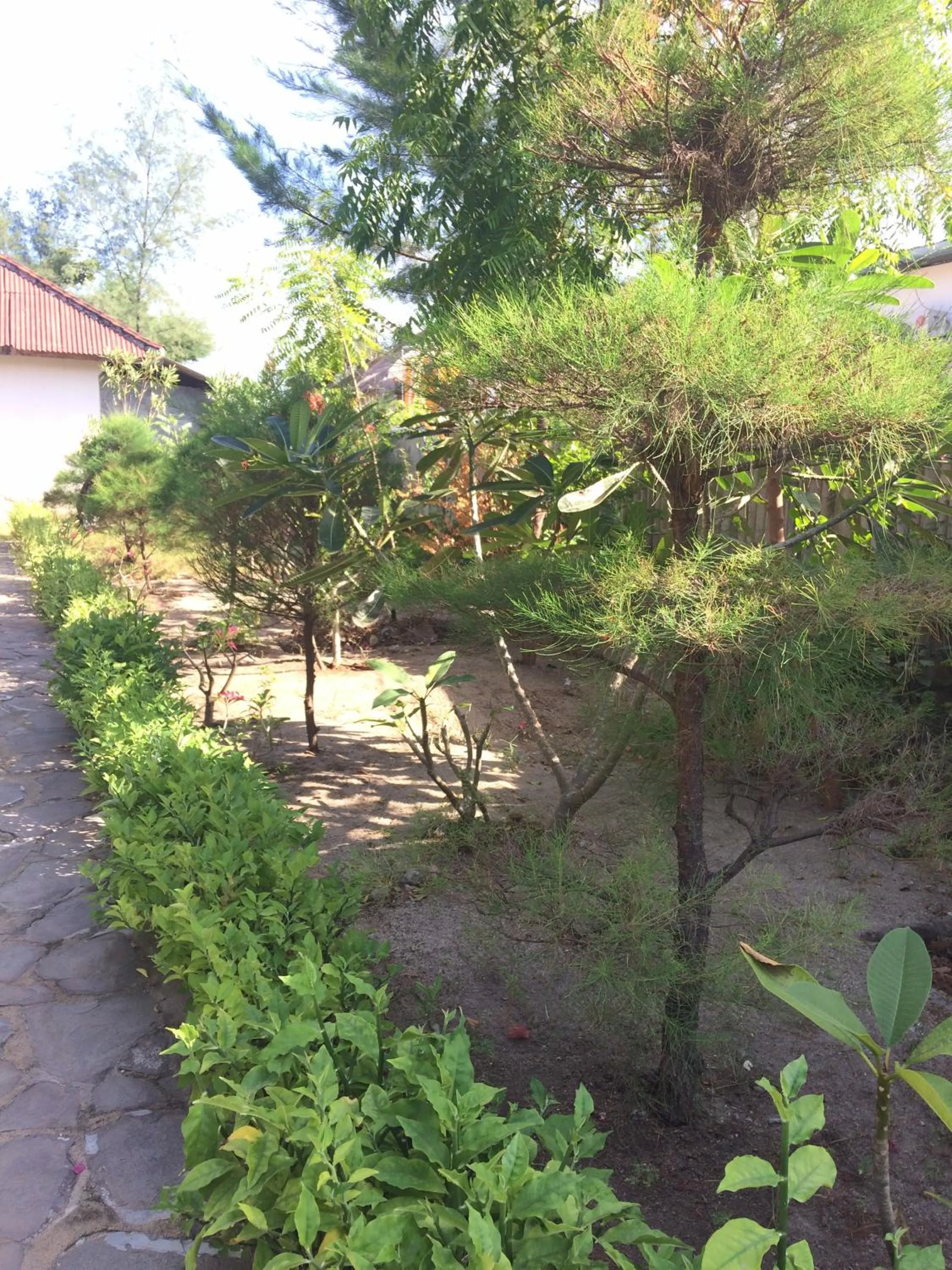 Garden view in Gili Beach