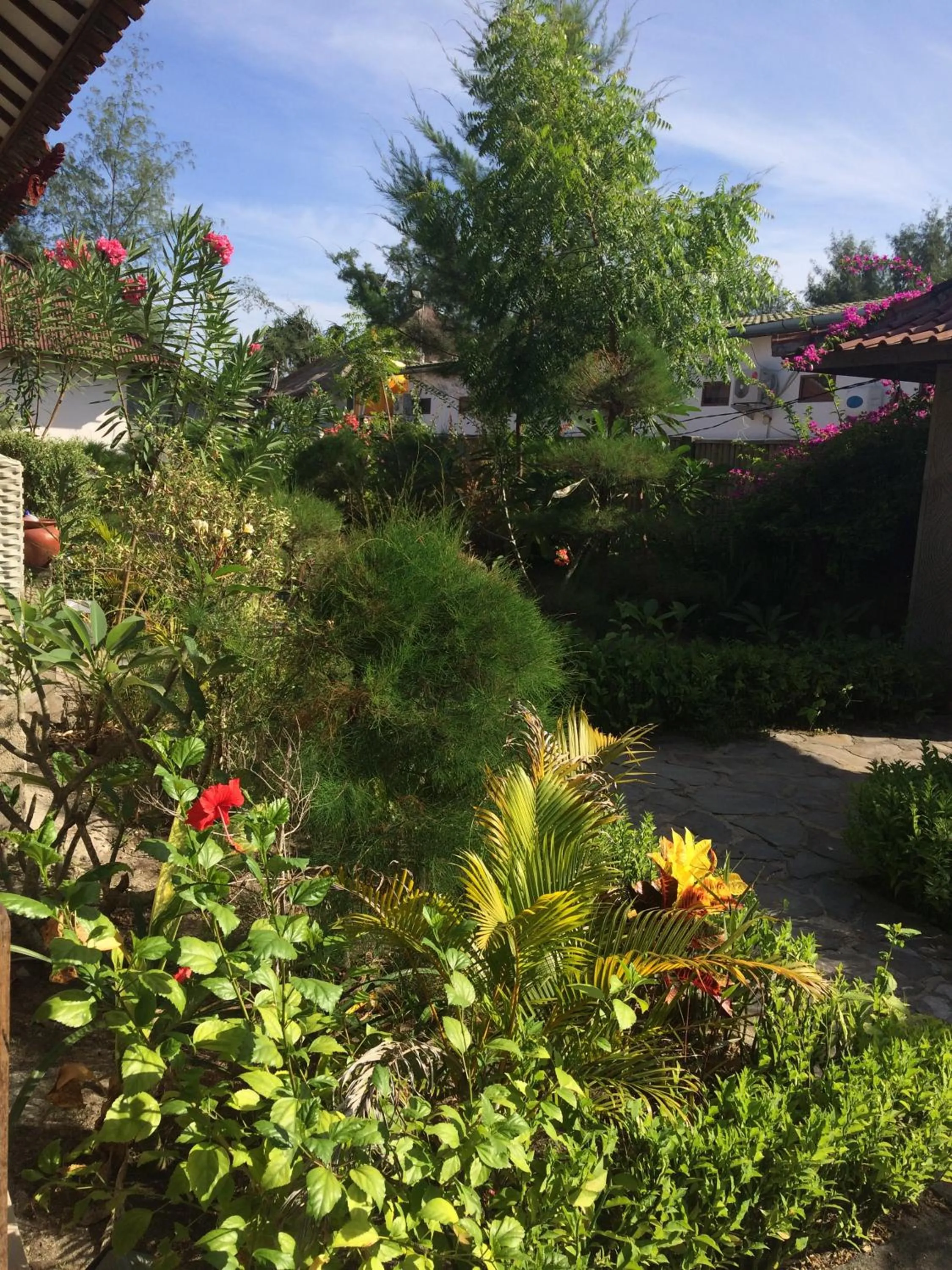 Garden view in Gili Beach