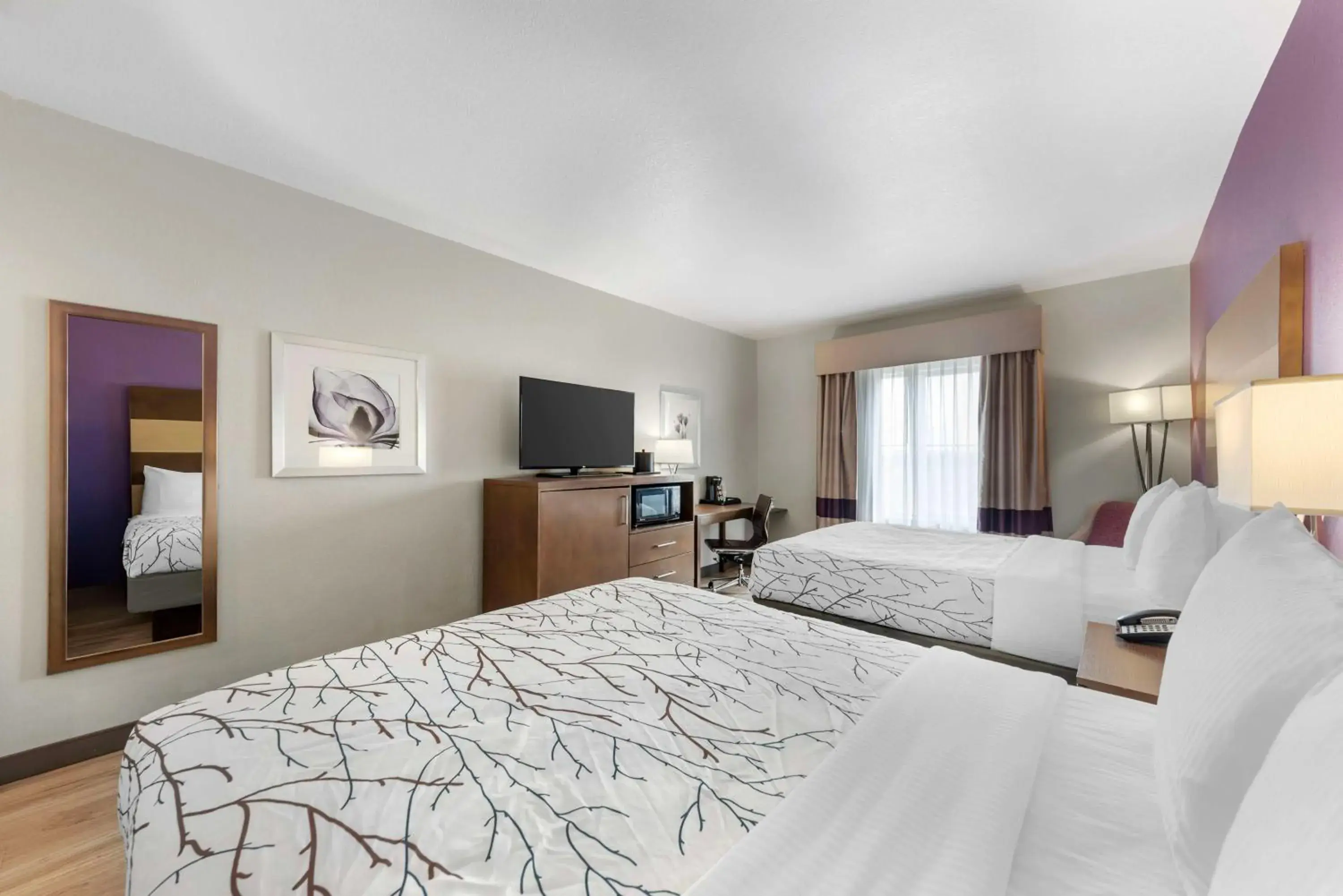 Bedroom, Bed in Best Western Plus Buda Austin Inn & Suites Bedroom, Bed in Best Western Plus Buda Austin Inn & Suites