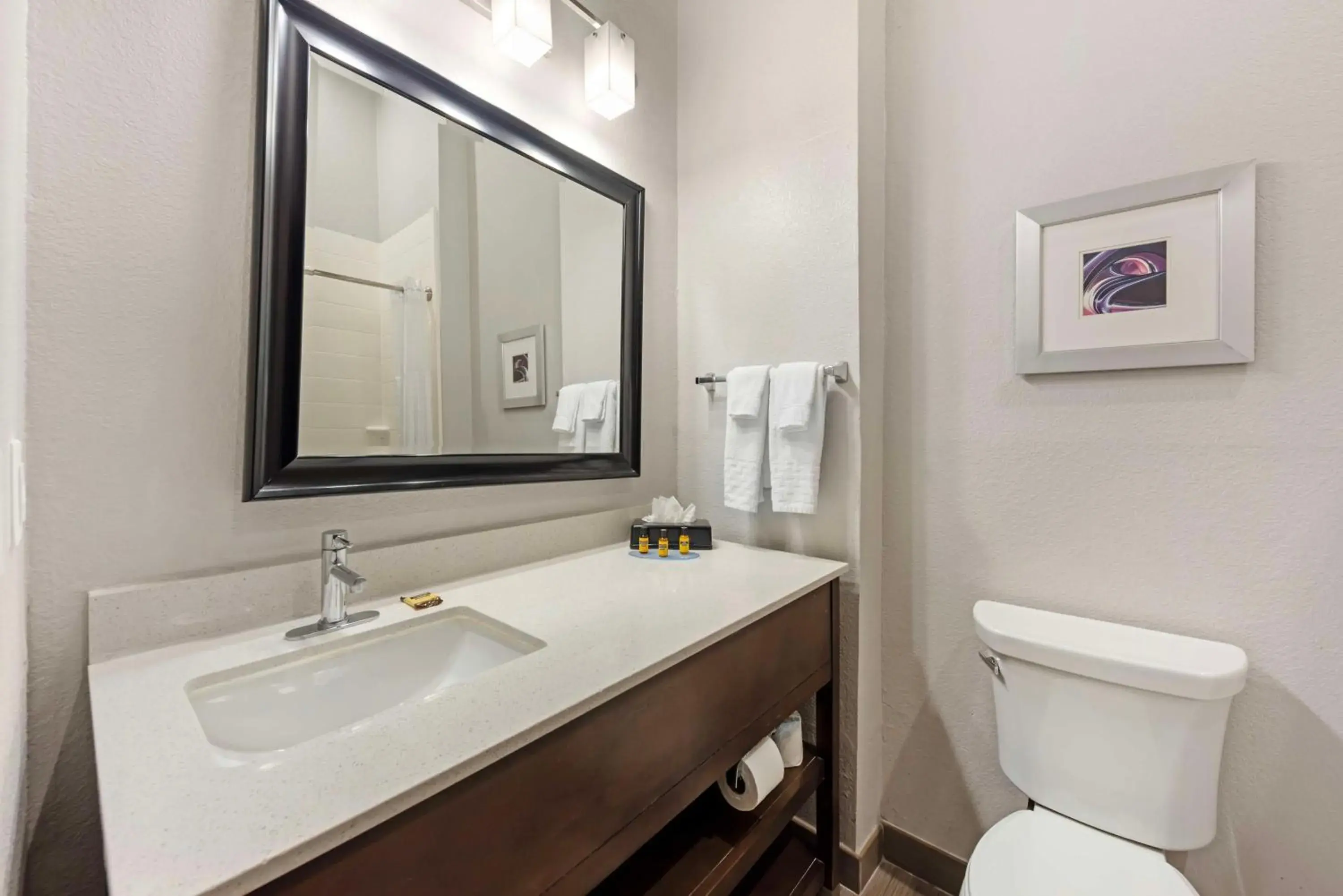 King Room with Kitchenette - Shower Only in Best Western Plus Buda Austin Inn & Suites King Room with Kitchenette - Shower Only in Best Western Plus Buda Austin Inn & Suites