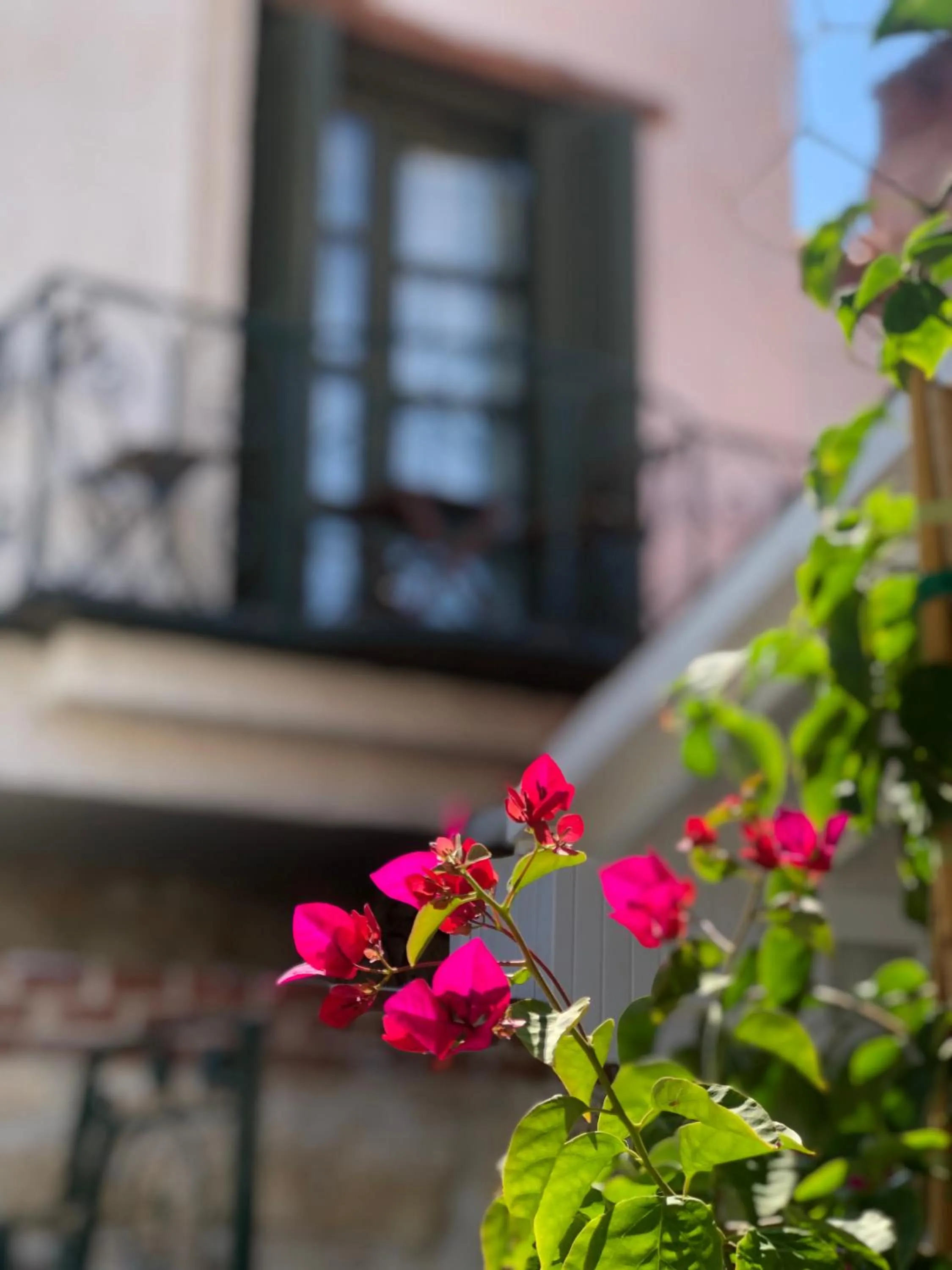 Property building in Perla Rossa Alacati