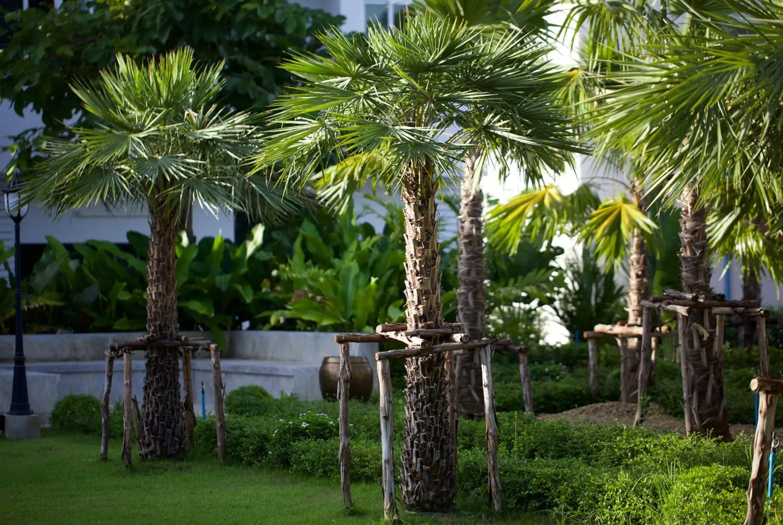 Garden view in Chez Bure - Bure Homestay Garden view in Chez Bure - Bure Homestay