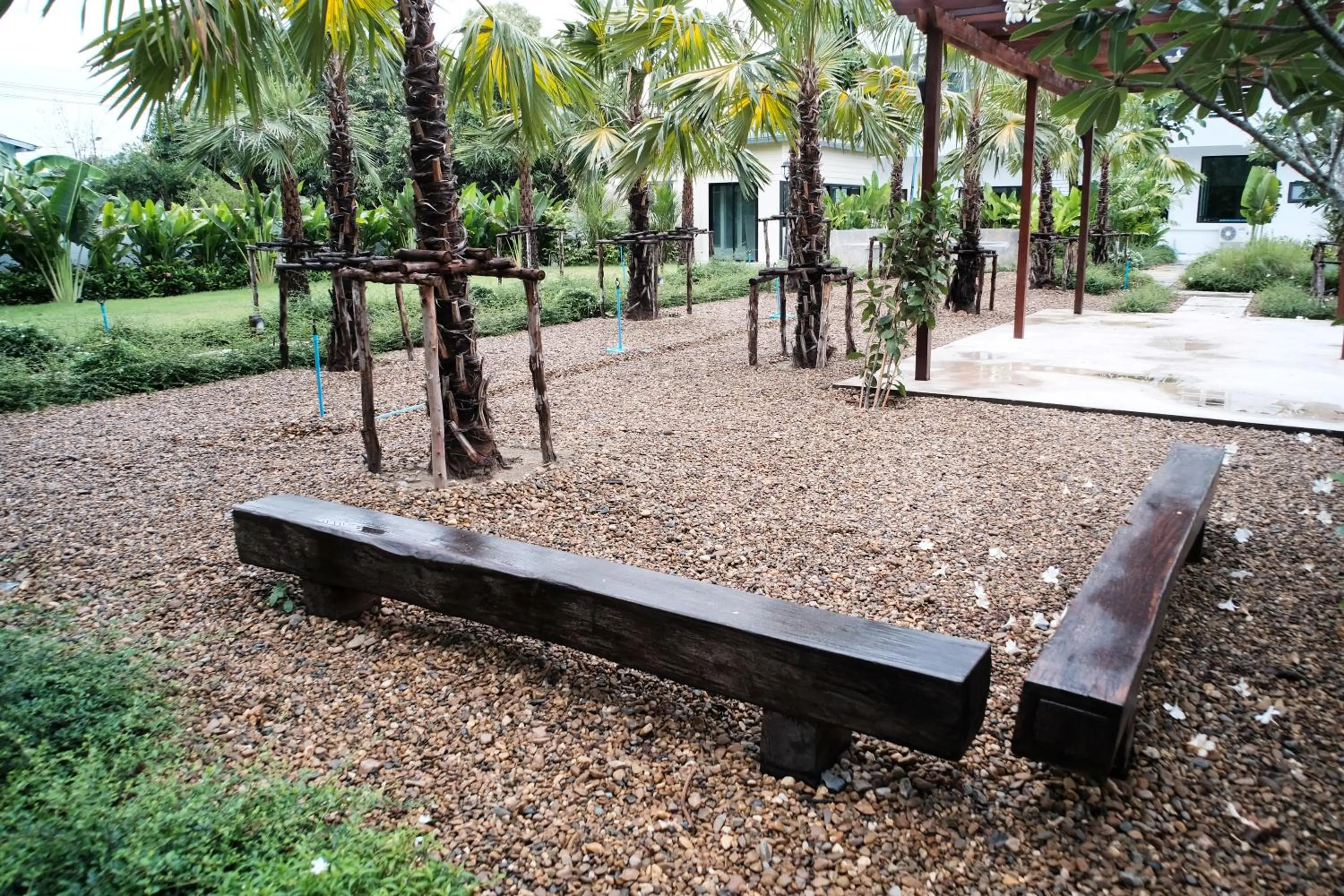 Garden view in Chez Bure - Bure Homestay