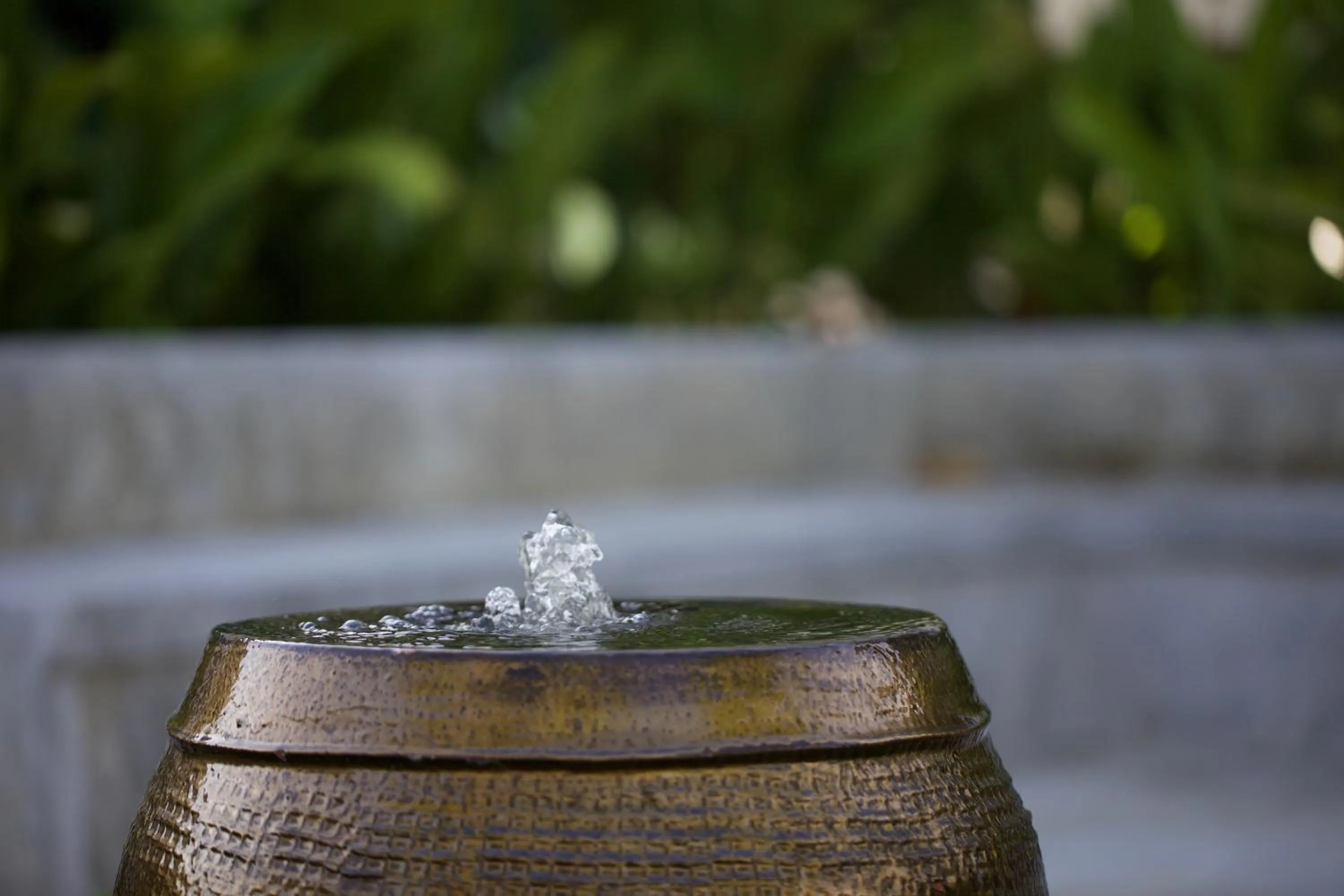 Garden in Chez Bure - Bure Homestay