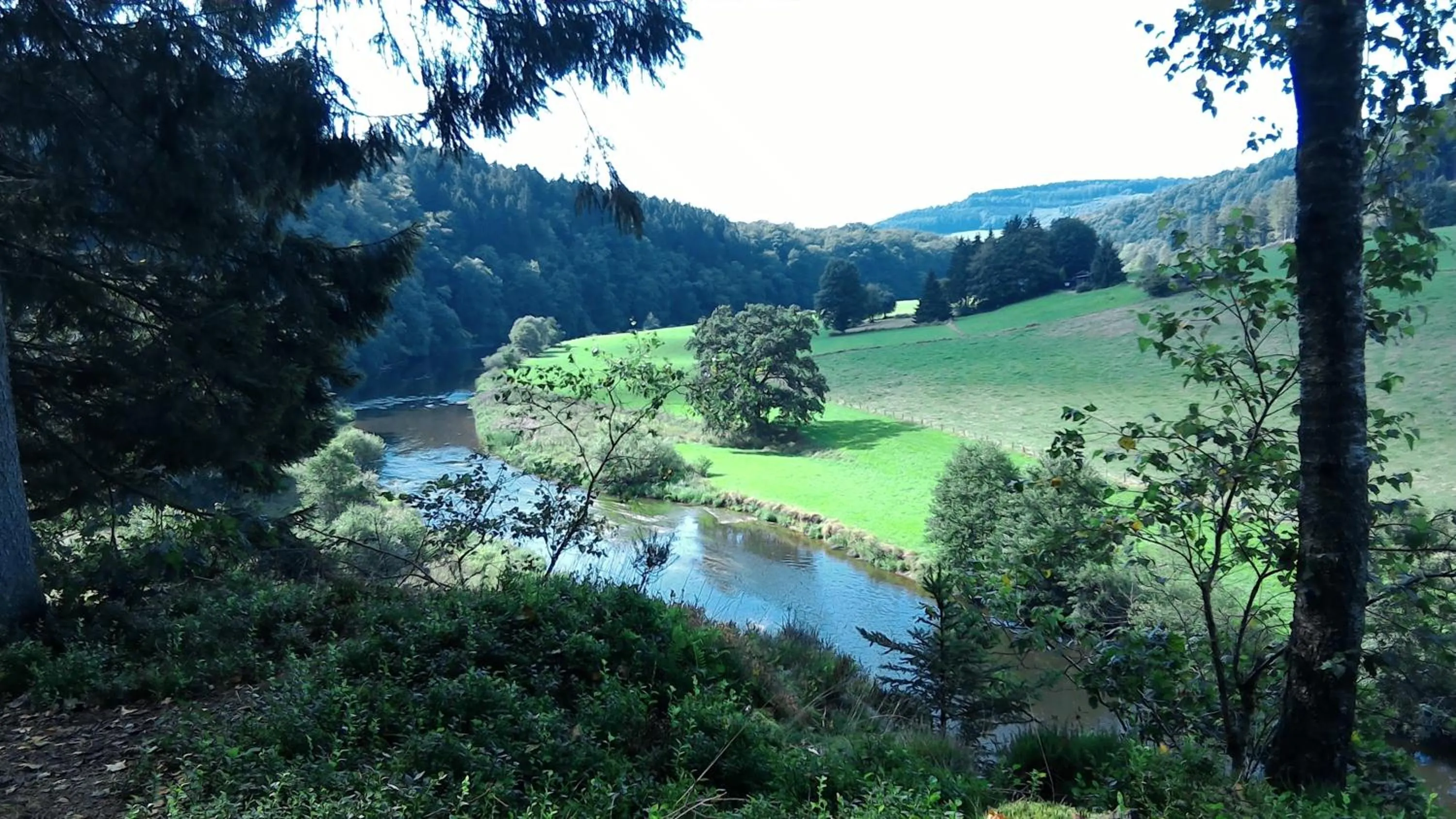Natural landscape in B&B Le Courtil