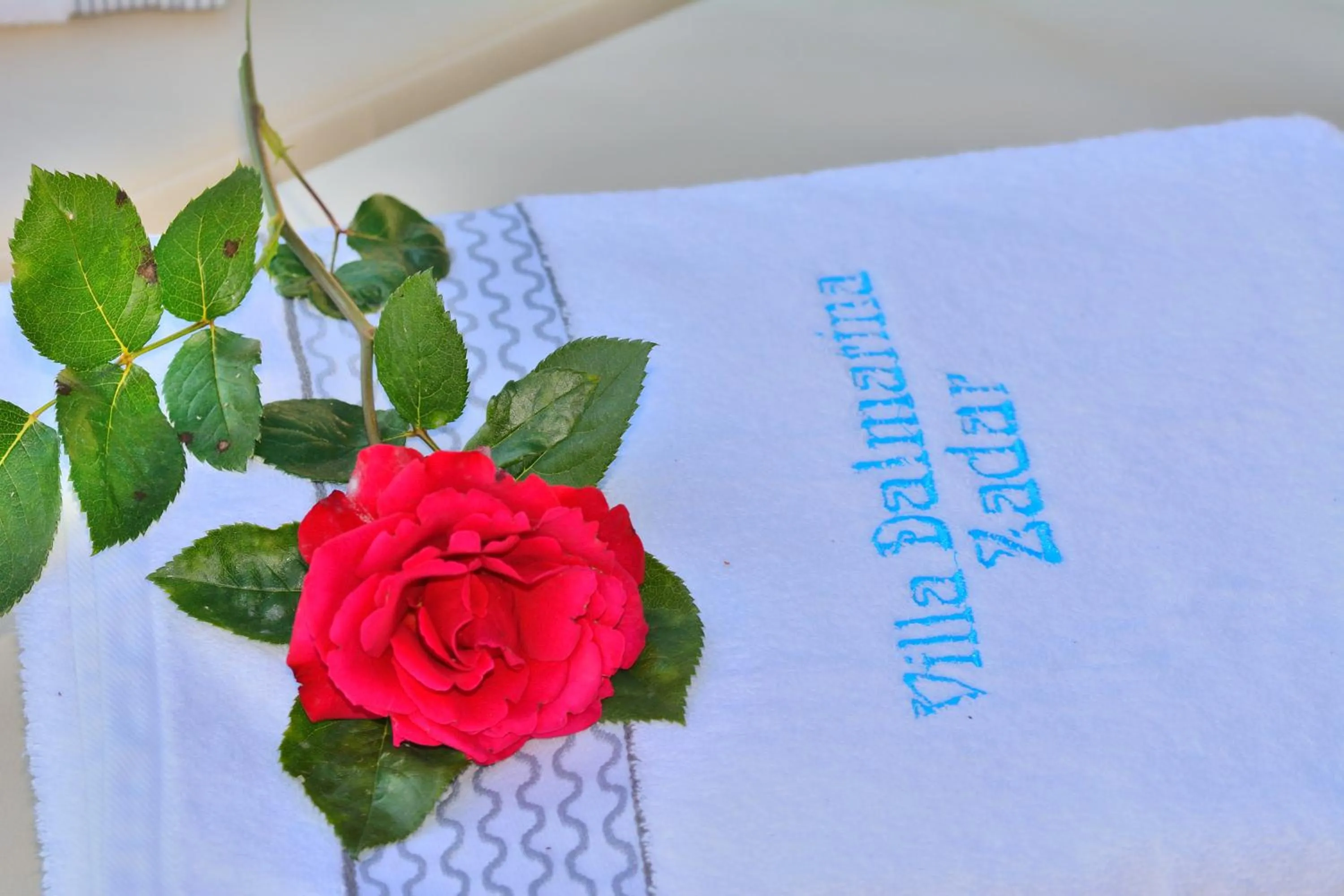 Logo/Certificate/Sign in Villa Dalmatina Zadar mit Pool