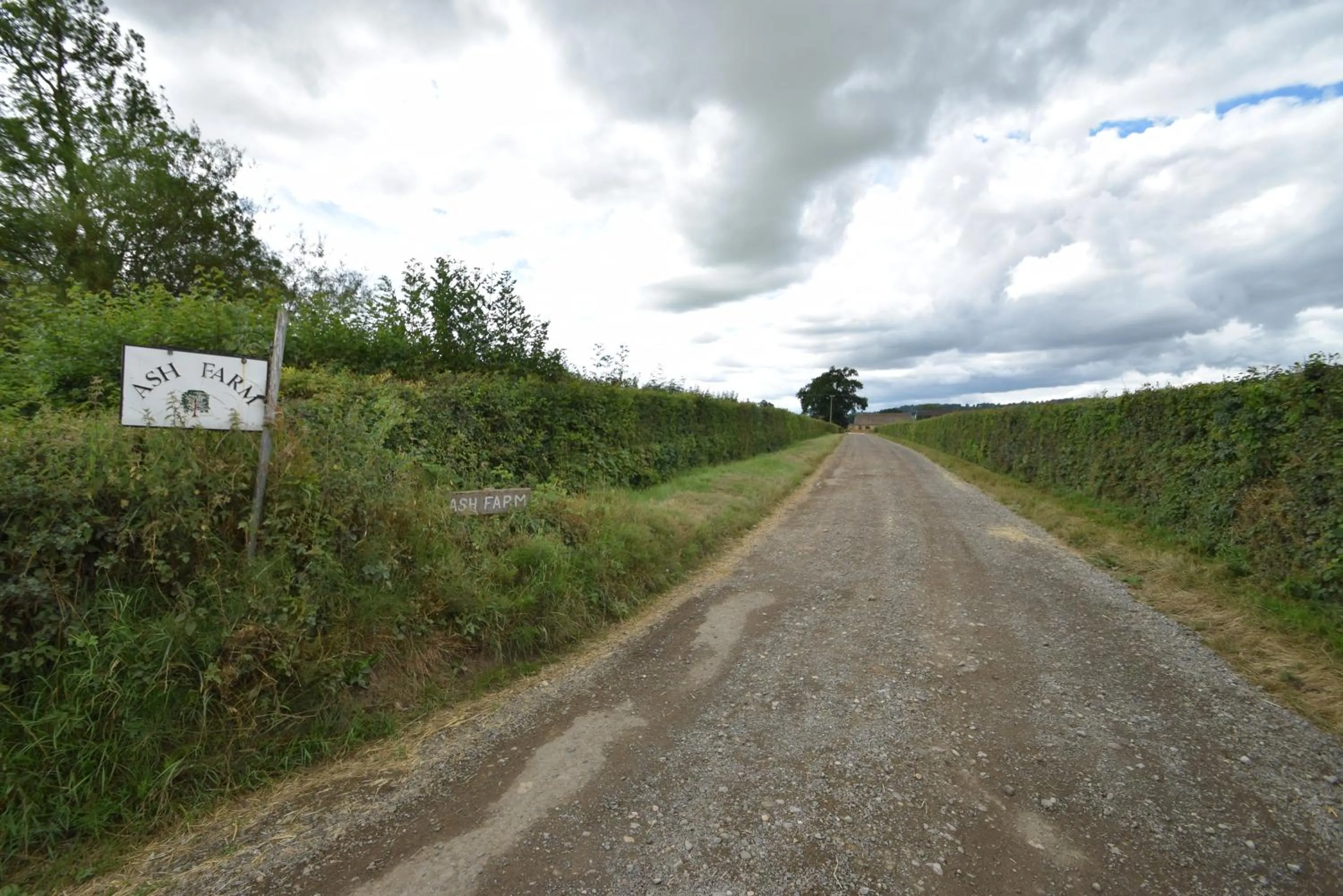 Natural landscape in The Warren - Ash Farm Cotswolds