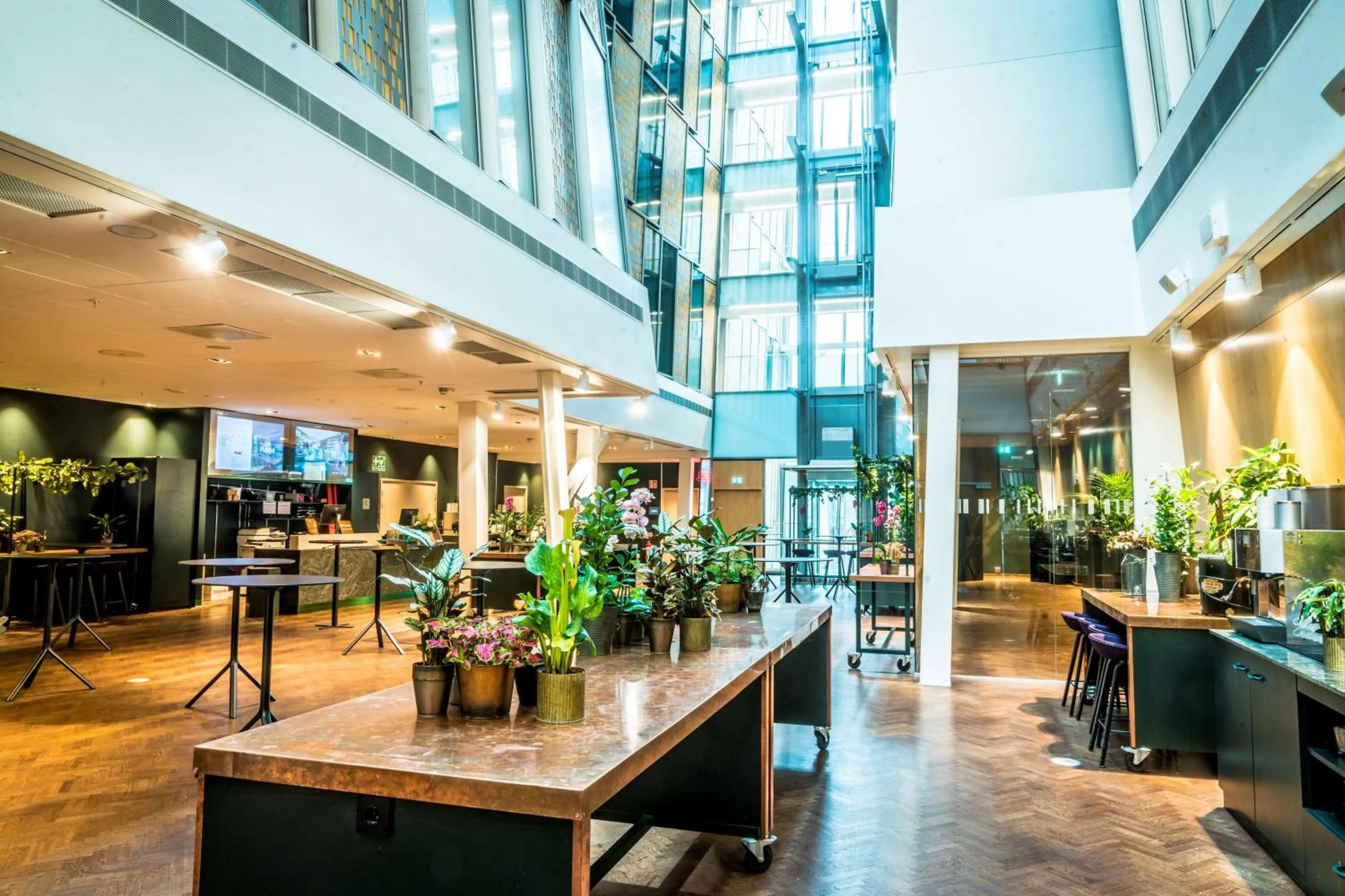 Lobby or reception in Scandic Continental