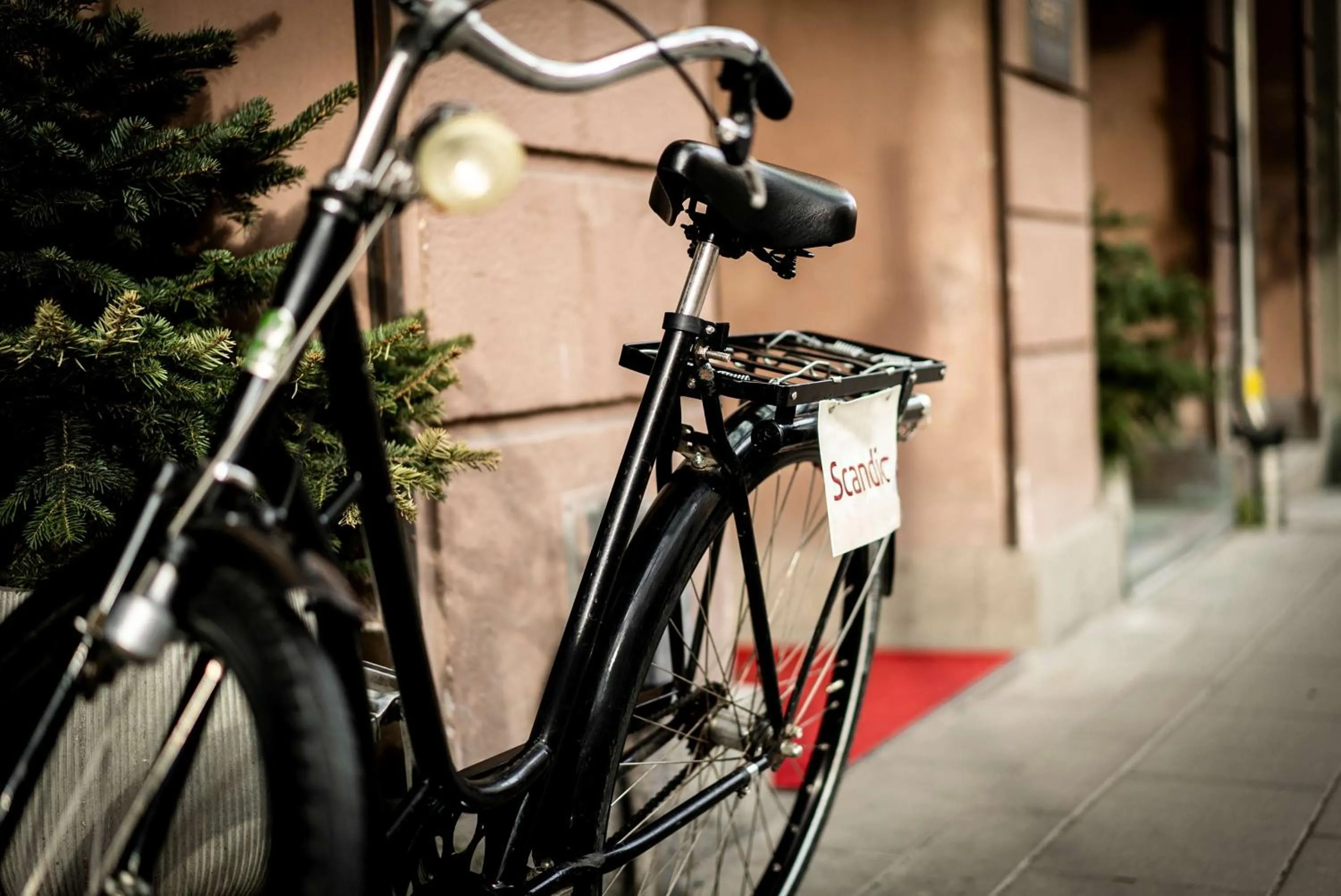 Cycling in Scandic Continental