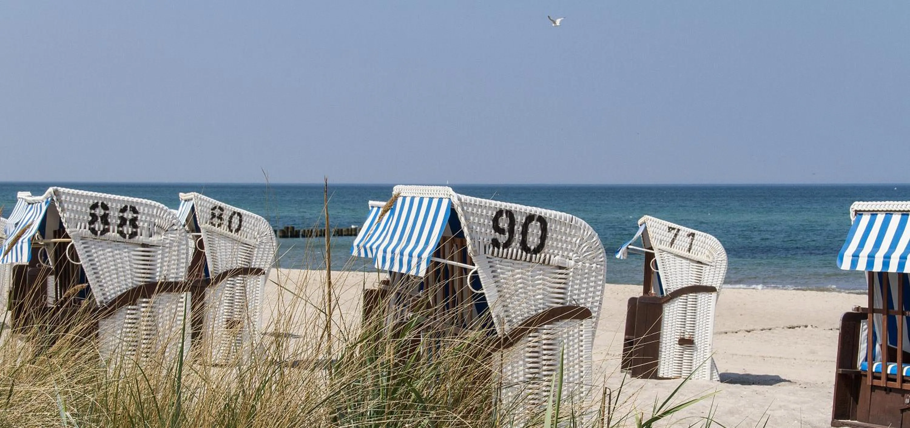 Beach in HOTEL am STRAND