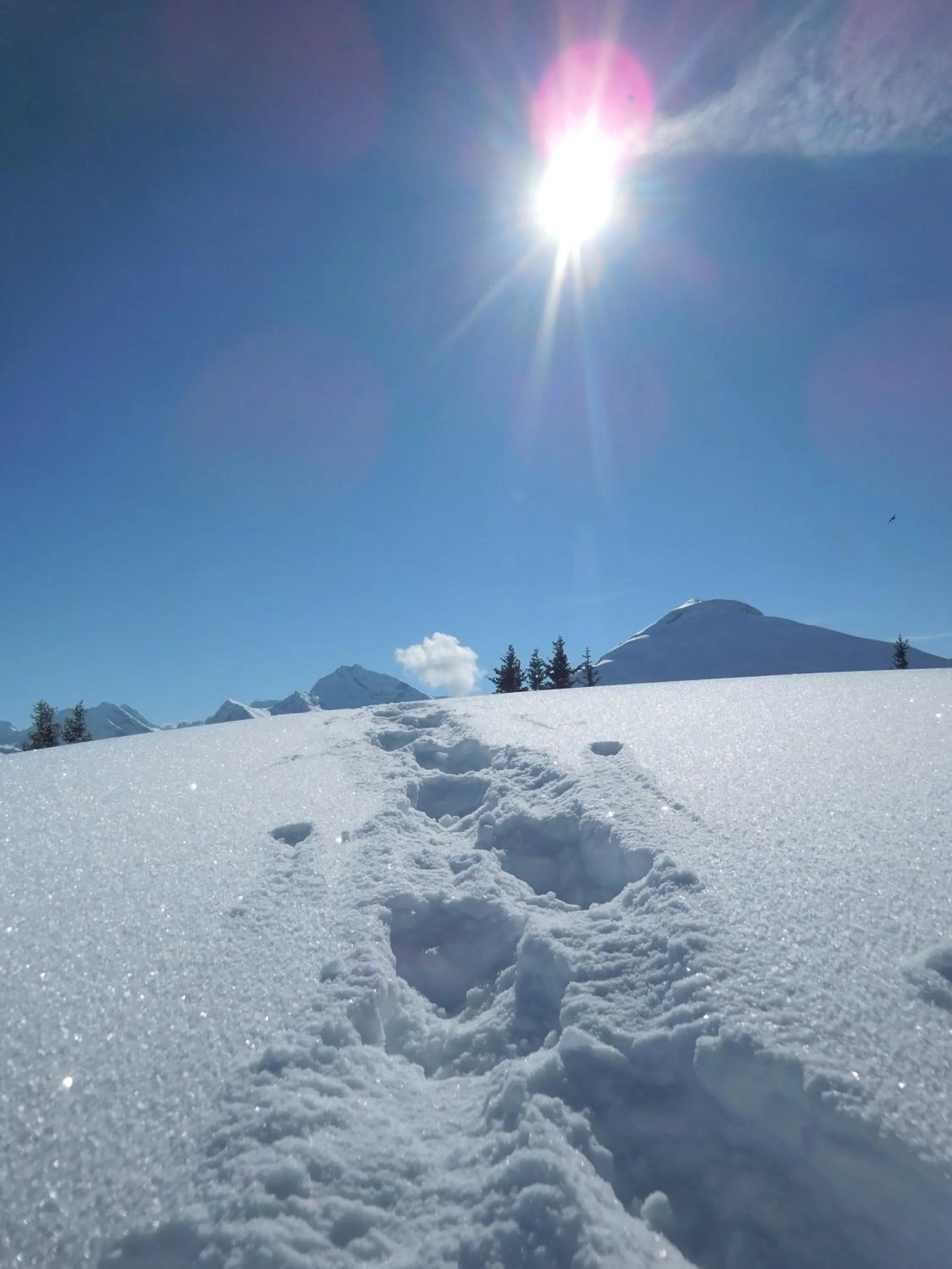 Natural landscape in Hotel Styrolerhof