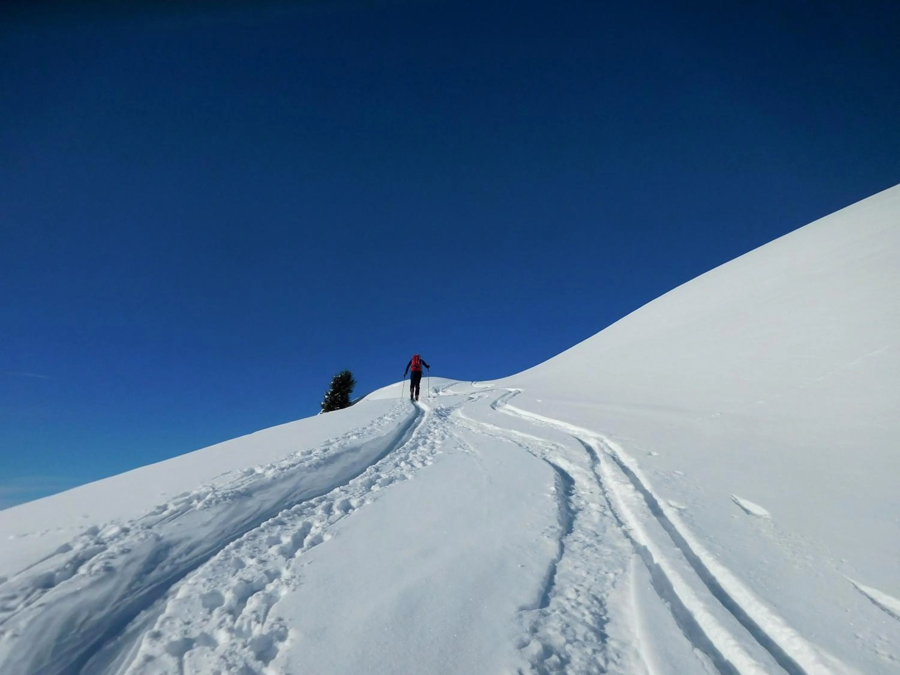 Natural landscape in Hotel Styrolerhof